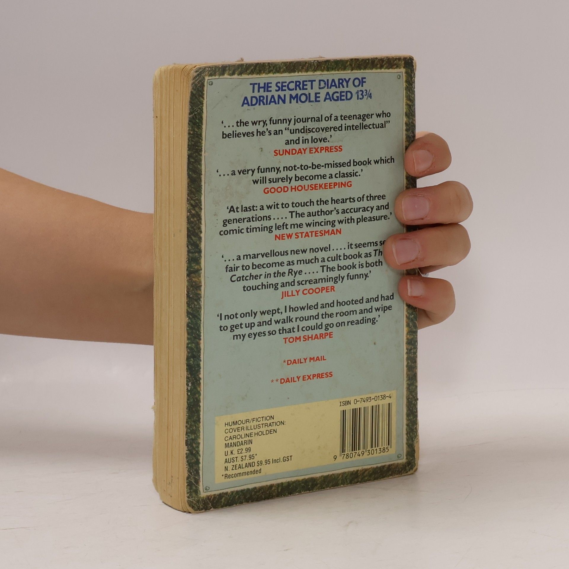 Sue Townsend The Secret Diary of Adrian Mole Aged 13 3/4