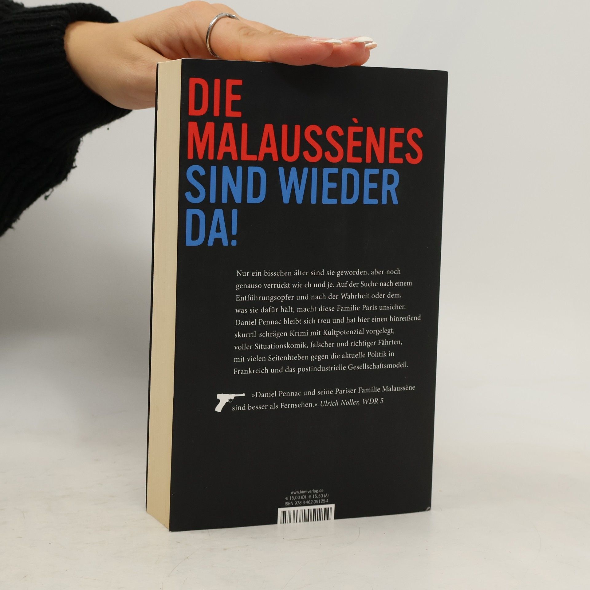Daniel Pennac Der Fall Malaussène - sie haben mich belogen
