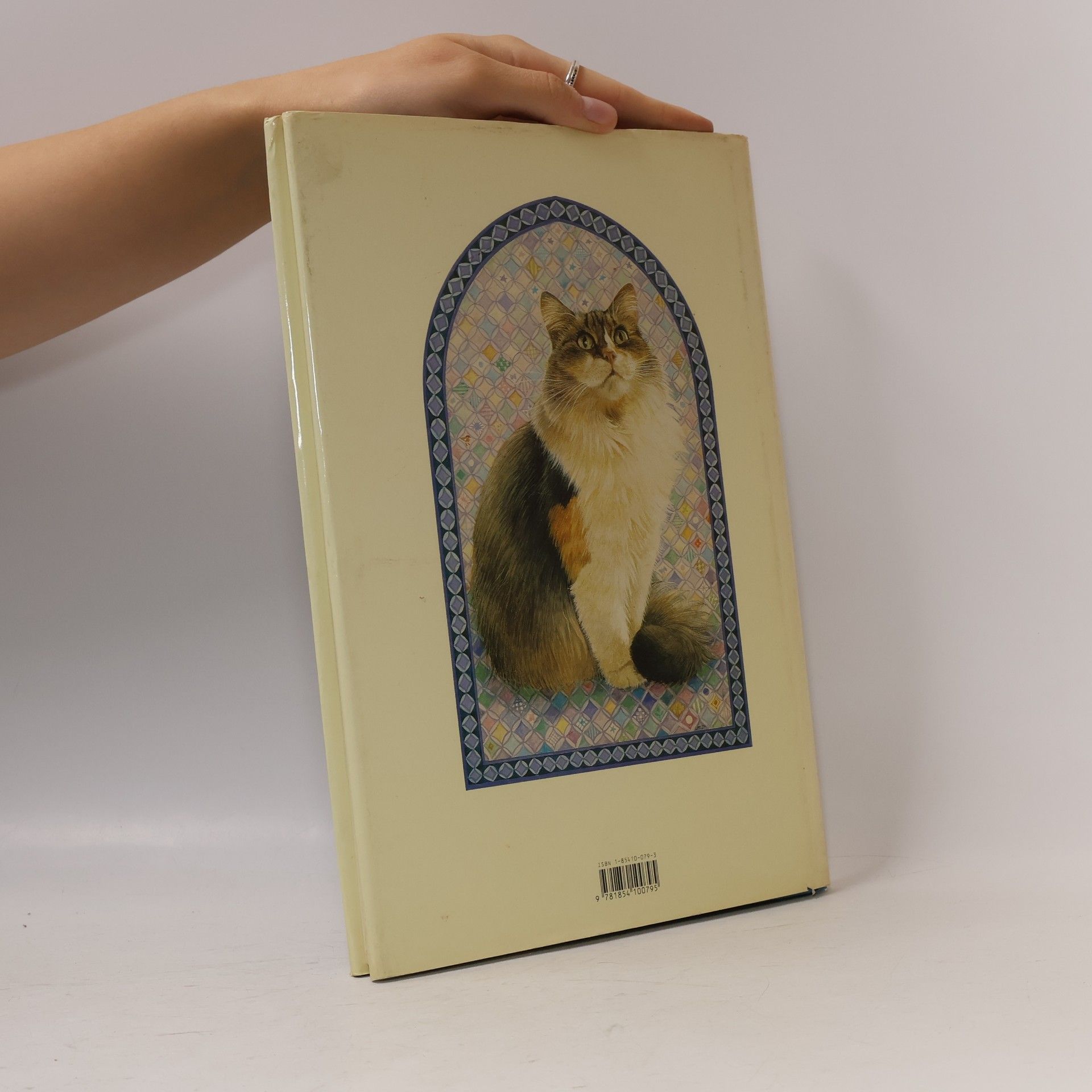 Lesley Anne Ivory Glorious Cats