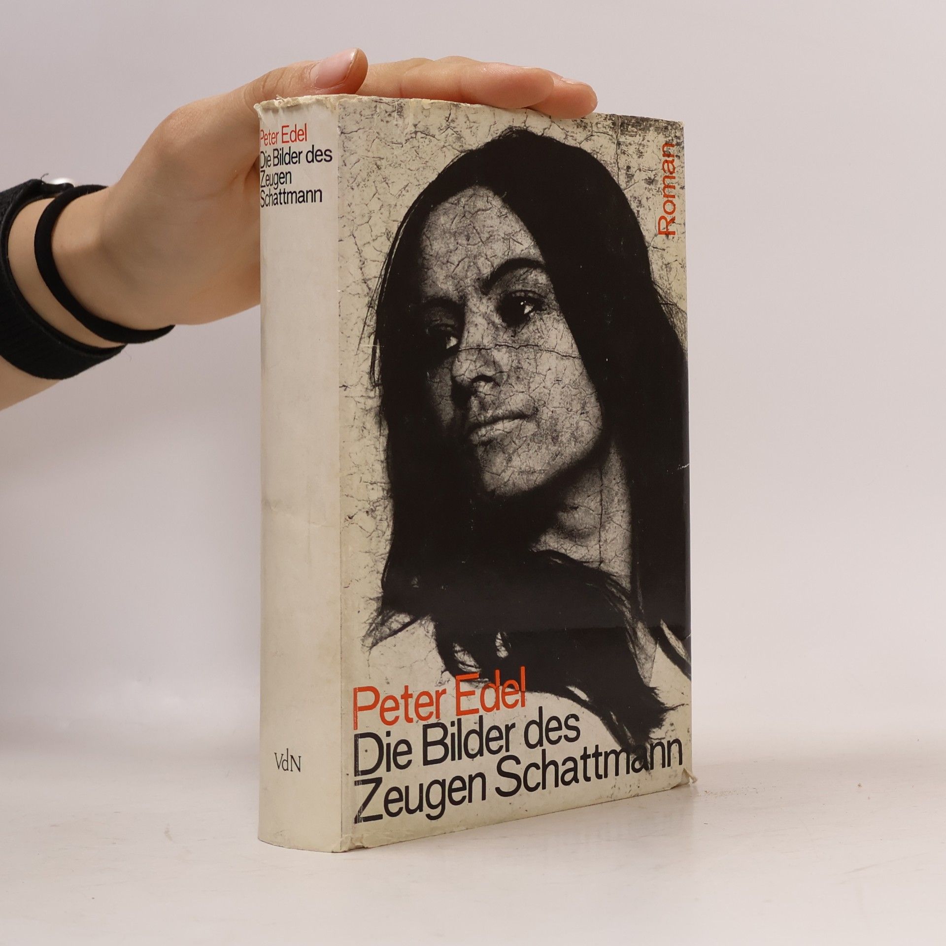 Die Bilder des Zeugen Schattmann