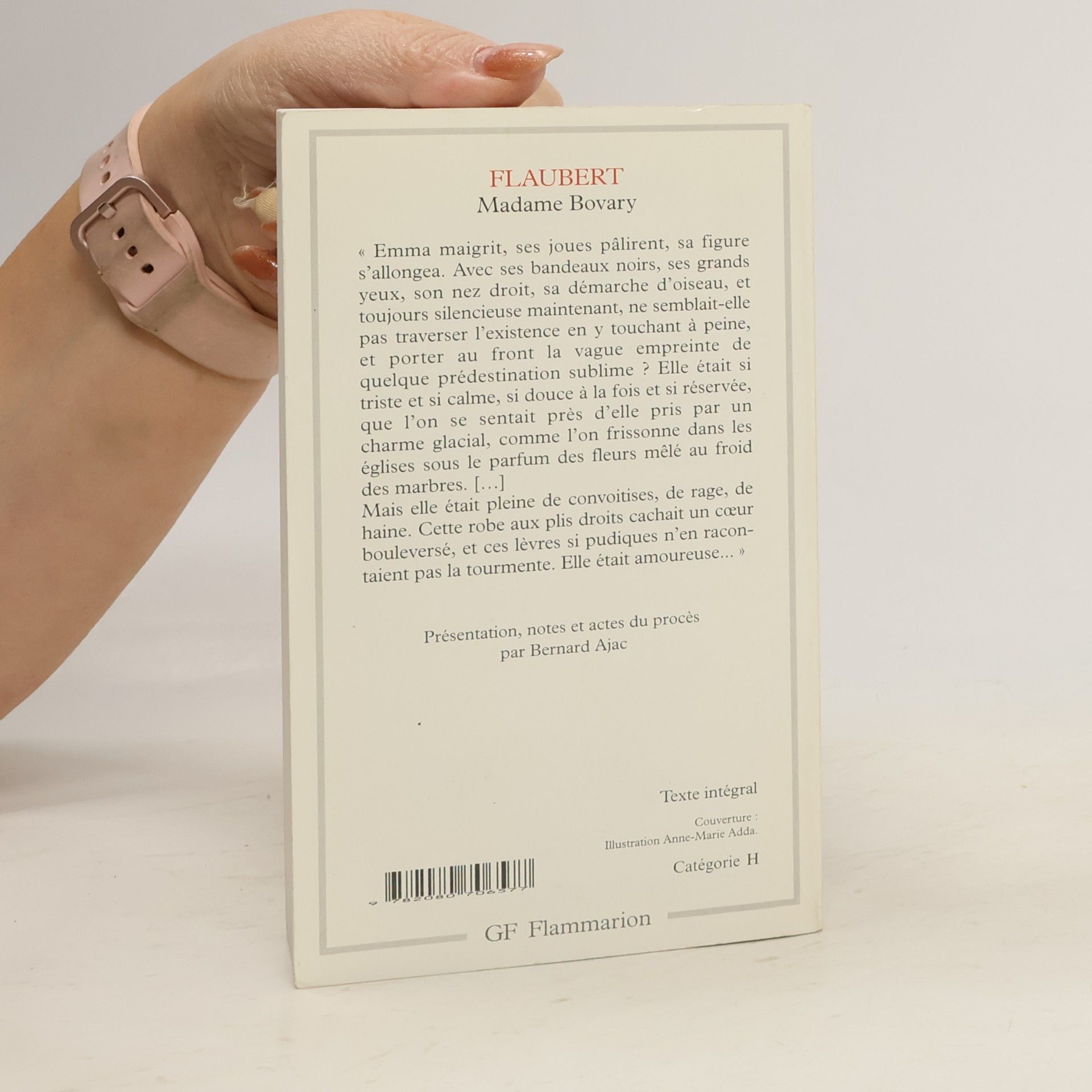Gustave Flaubert Madame Bovary