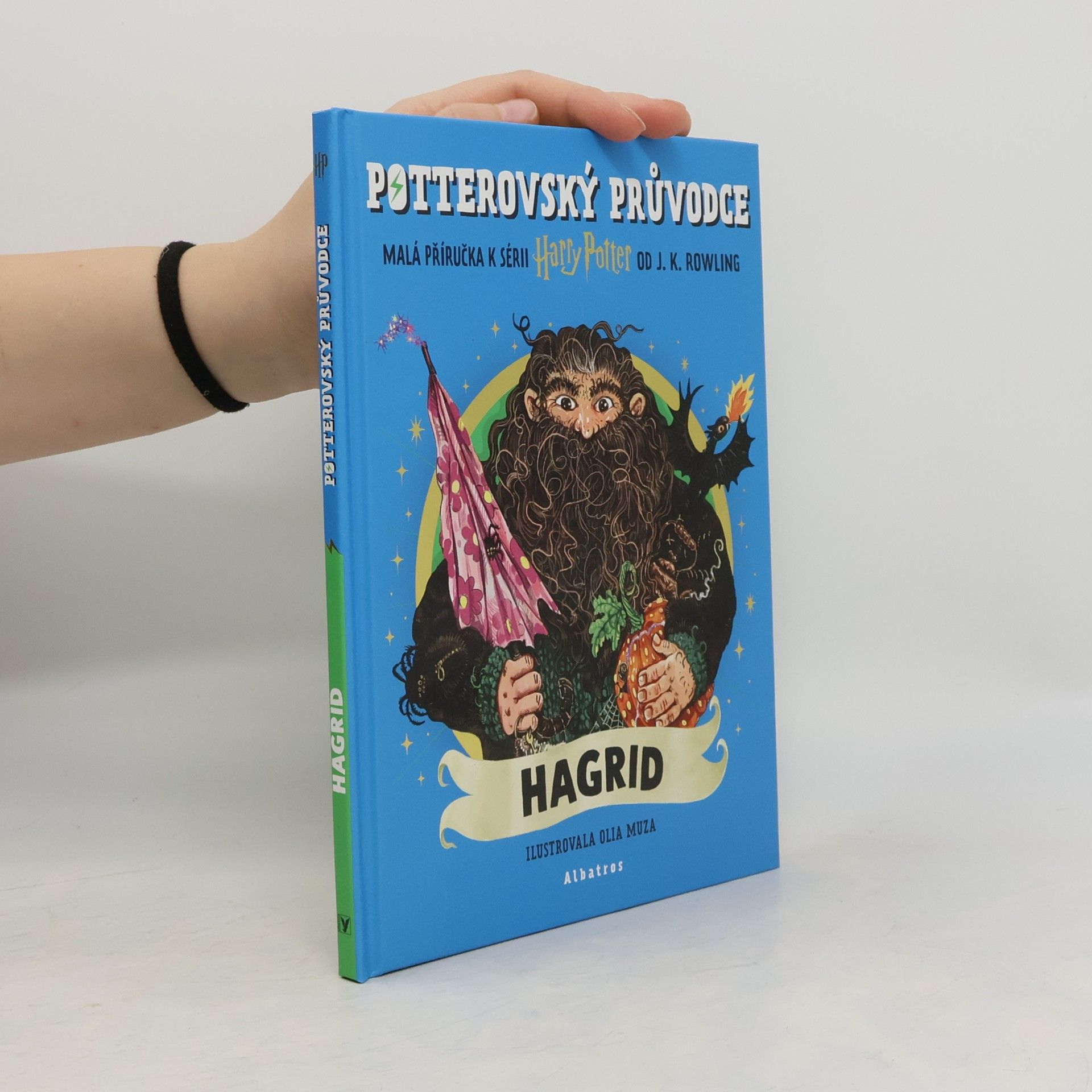Potterovský průvodce Hagrid