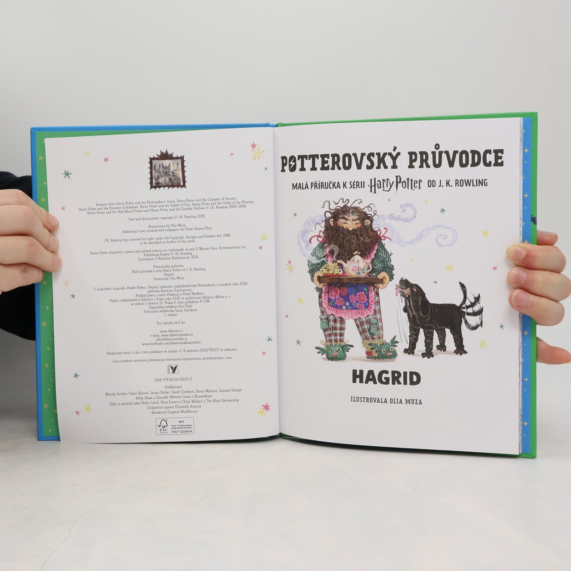 Olia Muza Potterovský průvodce Hagrid
