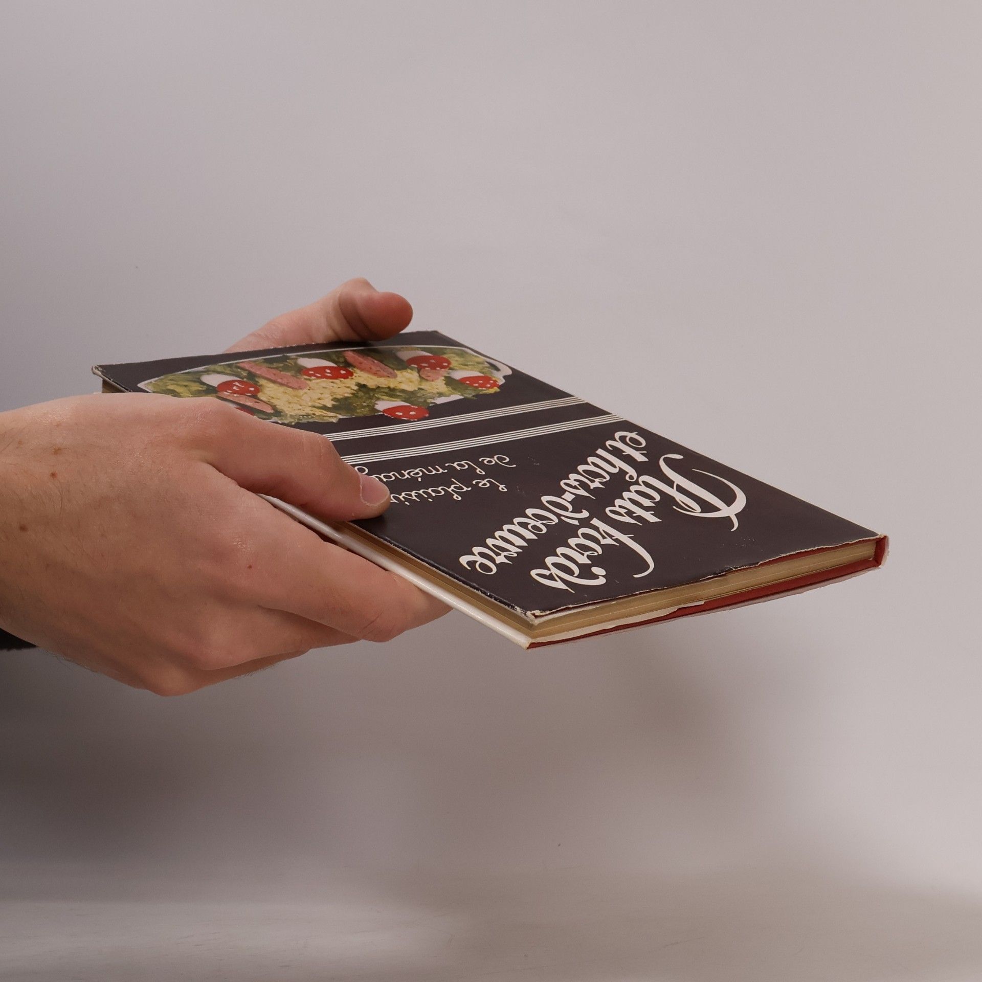 Autorenkollektiv Plats froids et hors-d'oeuvre