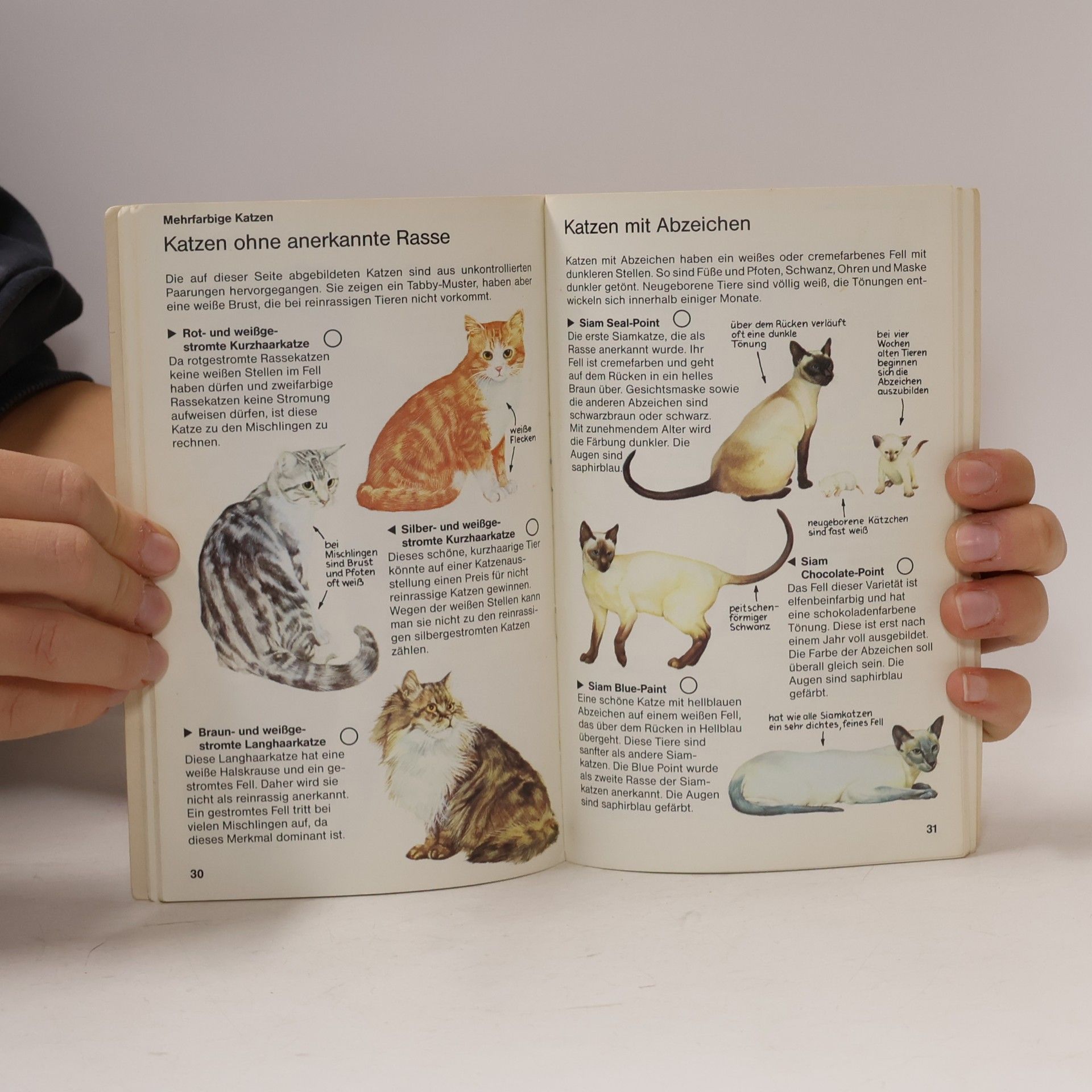 Howard Loxton Kennst du diese Katzen