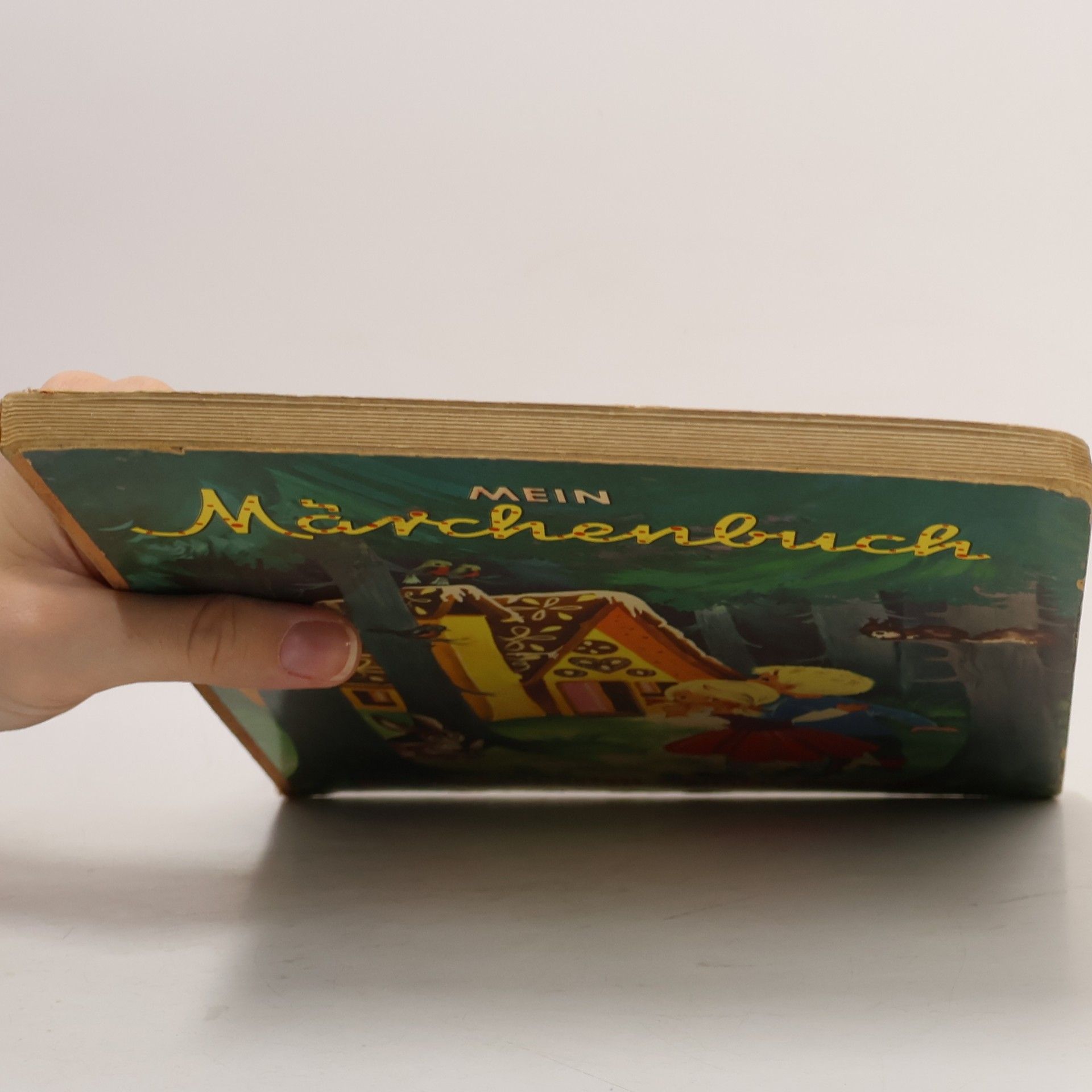 kolektiv Mein Märchenbuch