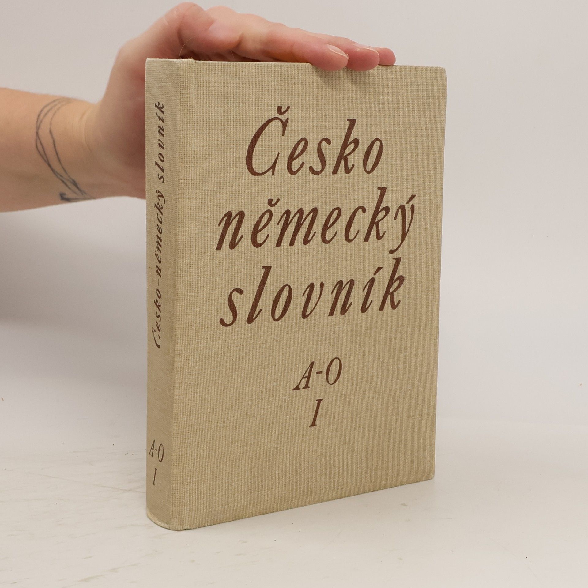 Autorenkollektiv Česko německý slovník A-O I.