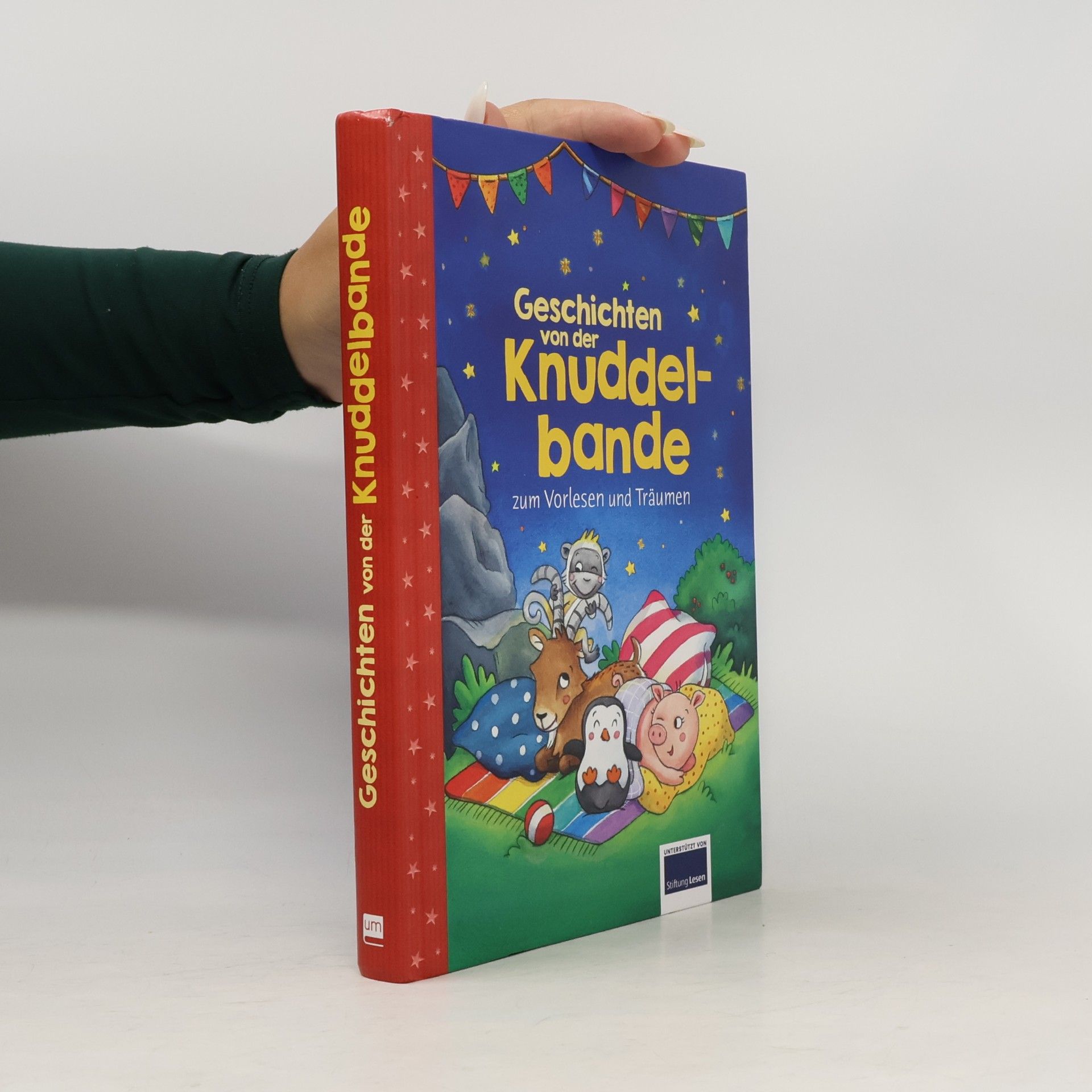 Henriette Wich Geschichten von der Knuddelbande