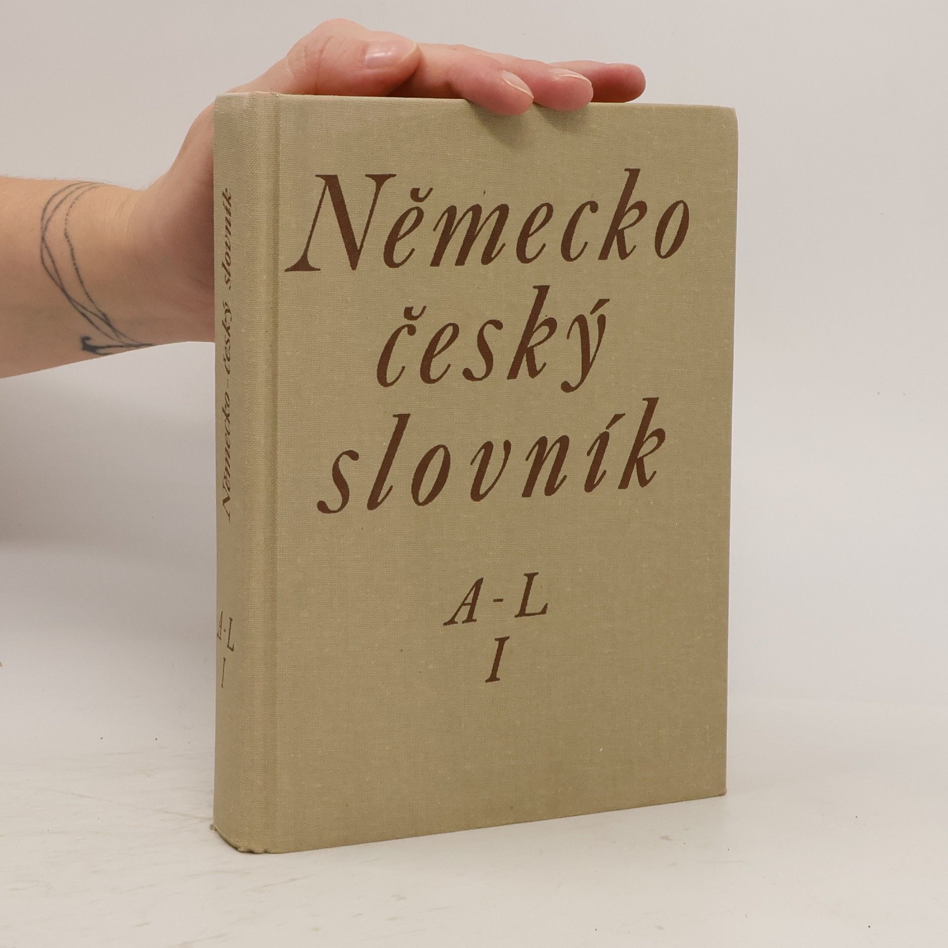 Autorenkollektiv Německo-český slovník I. A-L