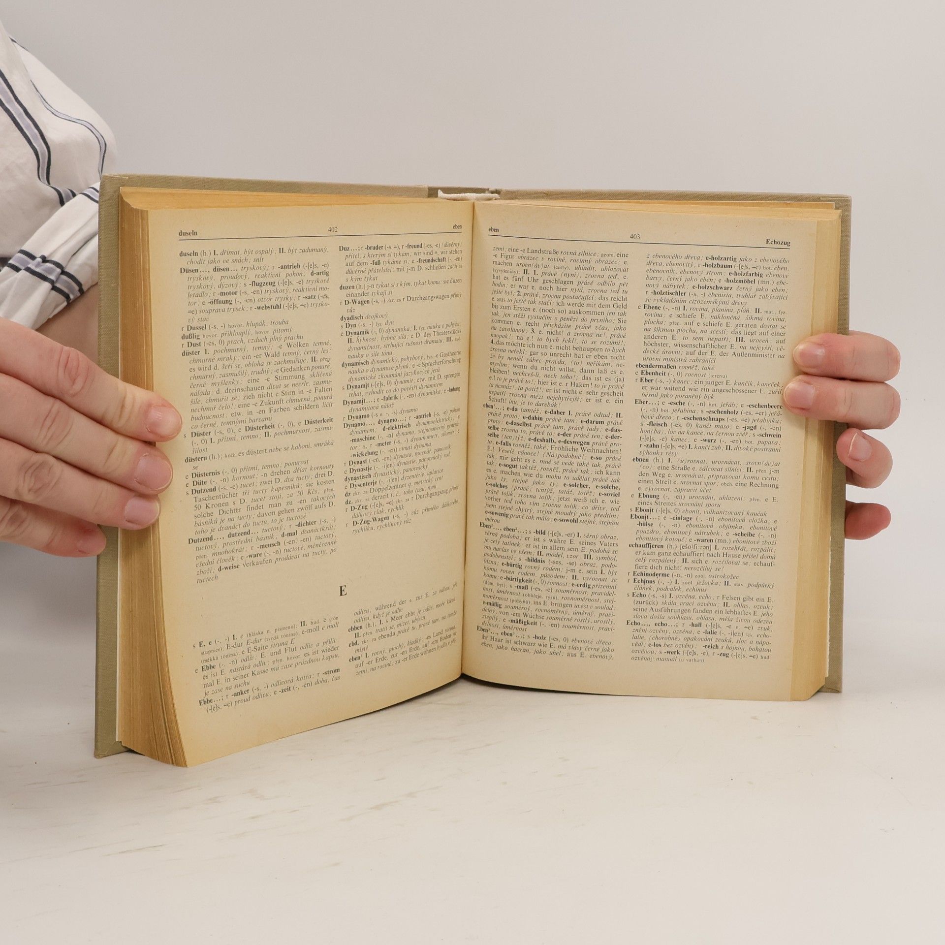 Autorenkollektiv Německo-český slovník I. A-L