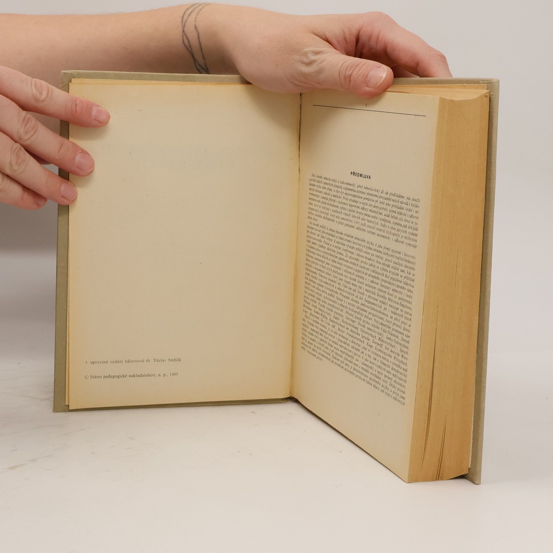Autorenkollektiv Německo-český slovník I. A-L