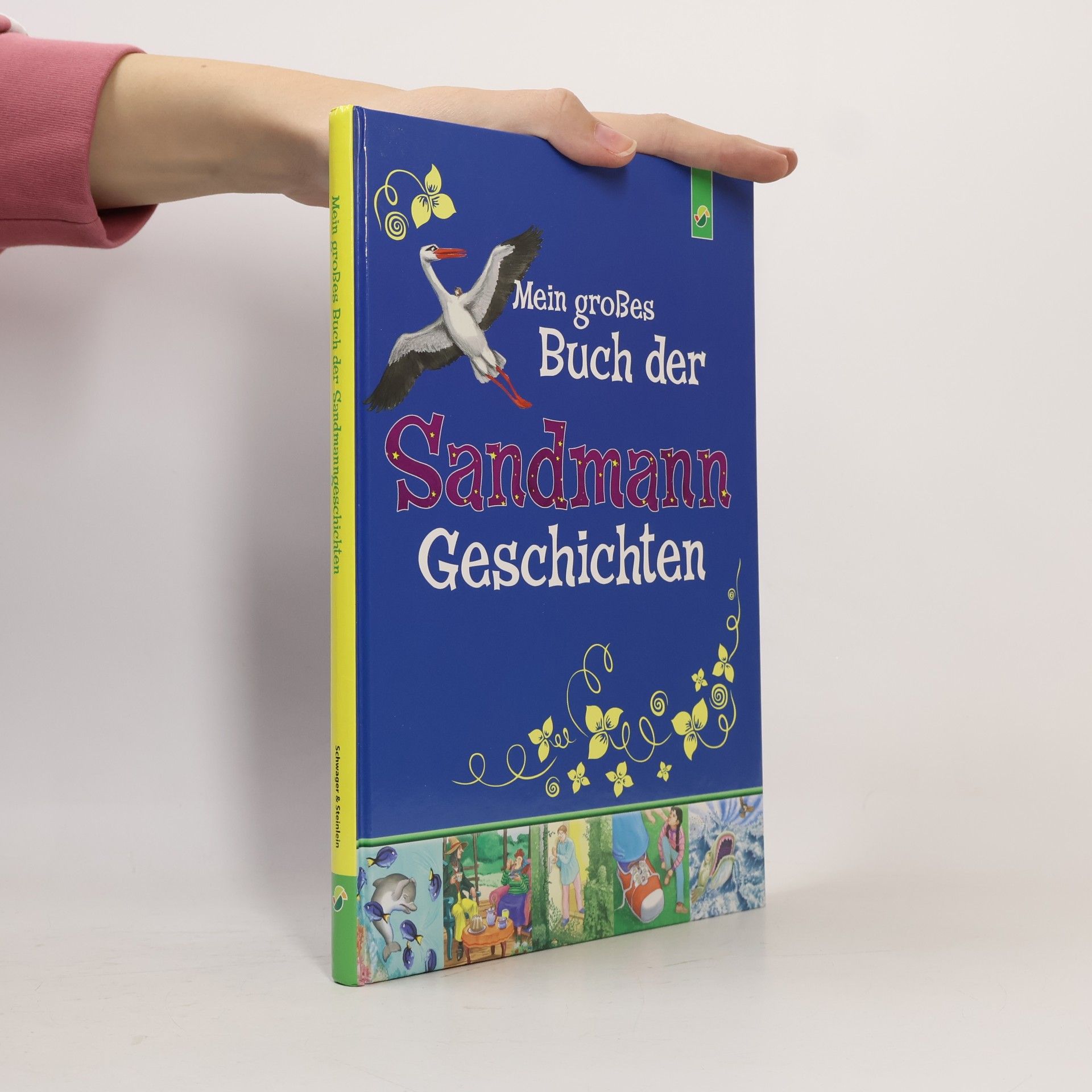 Mein großes Buch der Sandmann-Geschichten