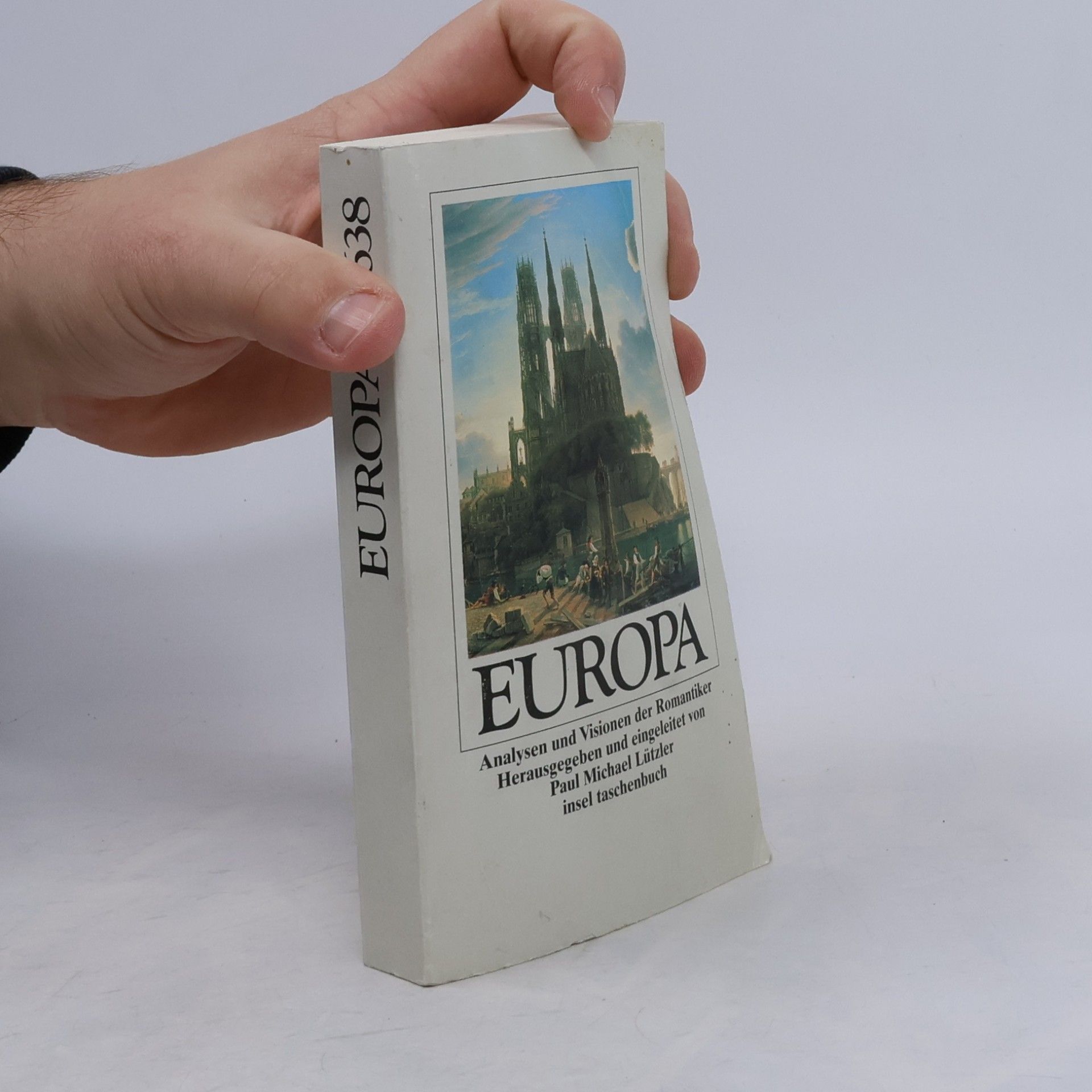 Paul Michael Lützeler Europa