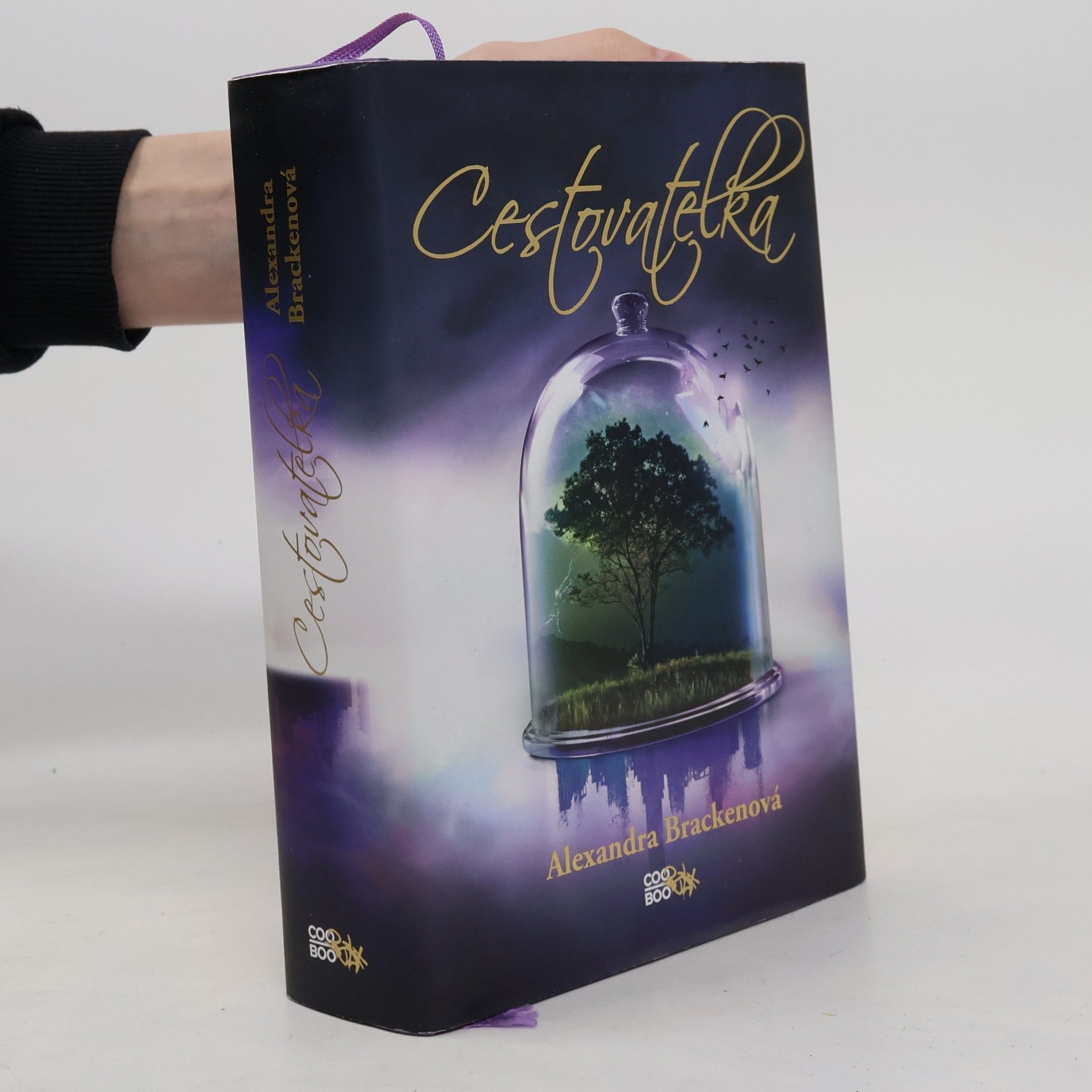 Alexandra Bracken Cestovatelka