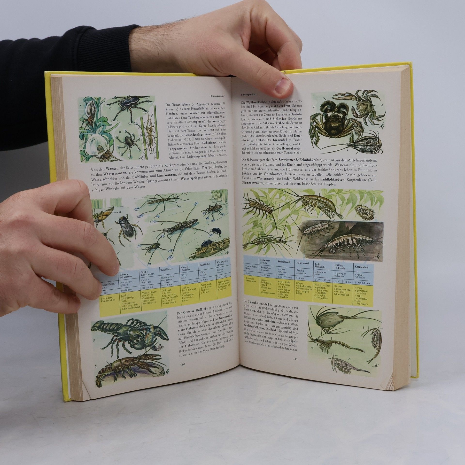 Harry Garms Handbuch der Natur