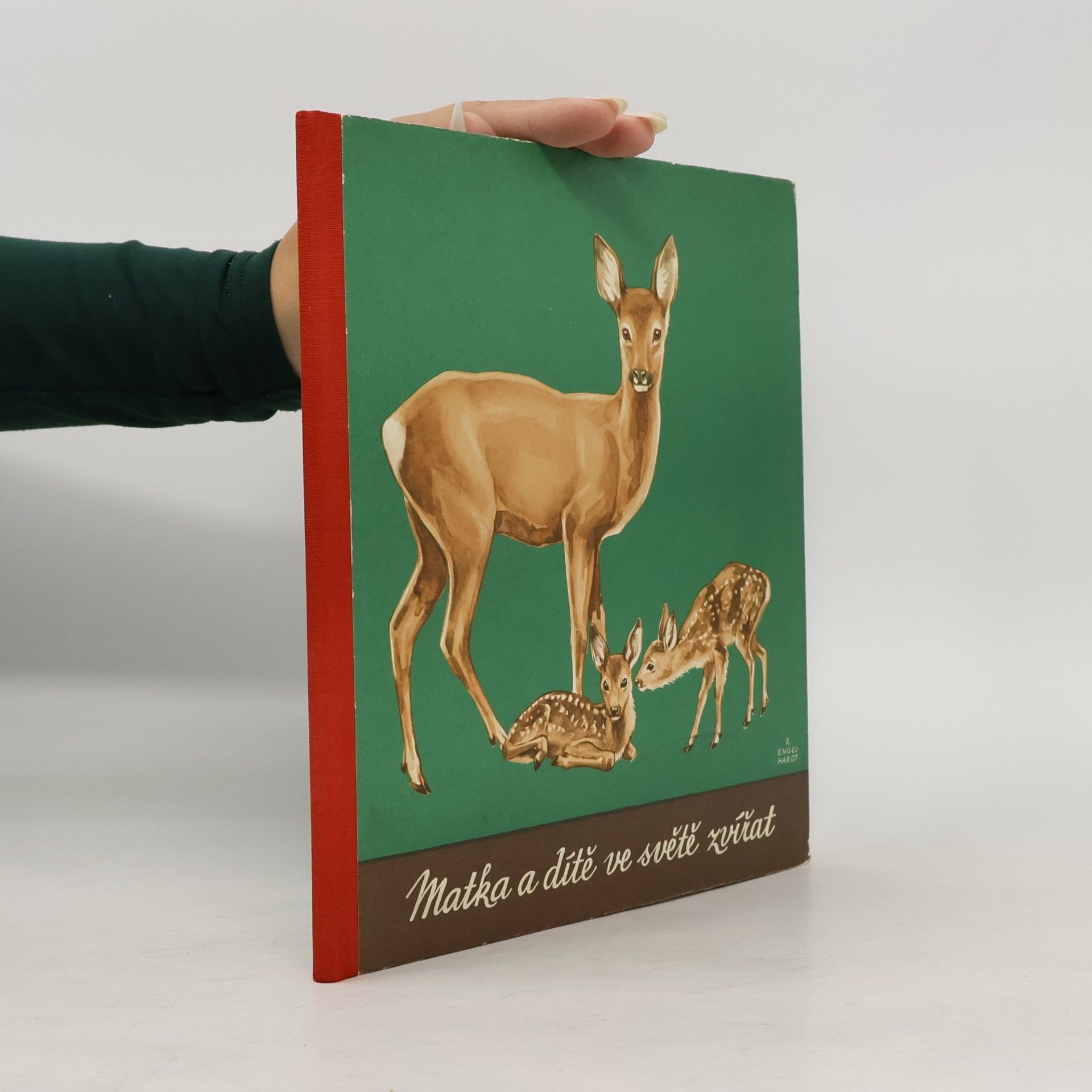 Various authors Matka a dítě ve světě zvířat