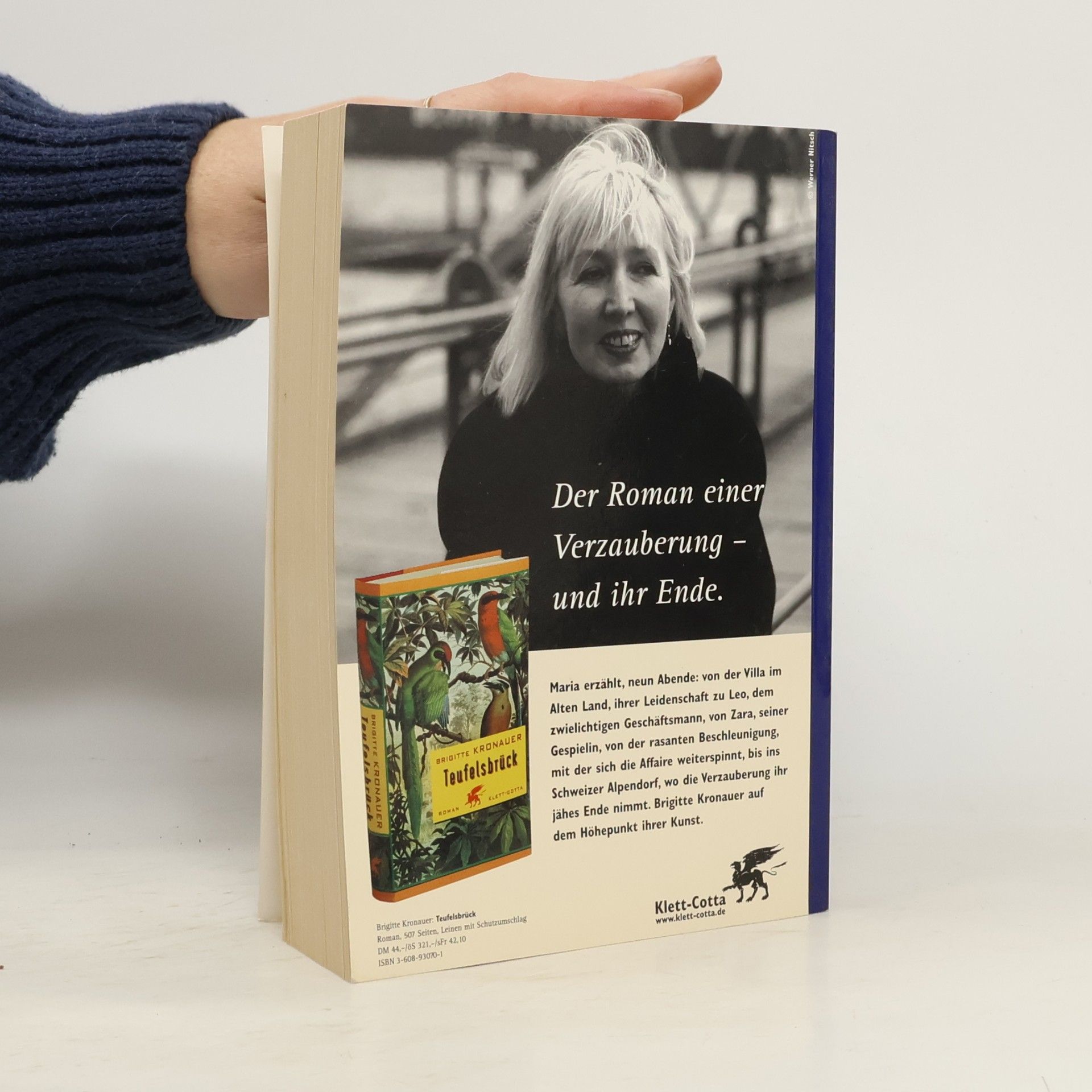 Brigitte Kronauer Teufelsbrück