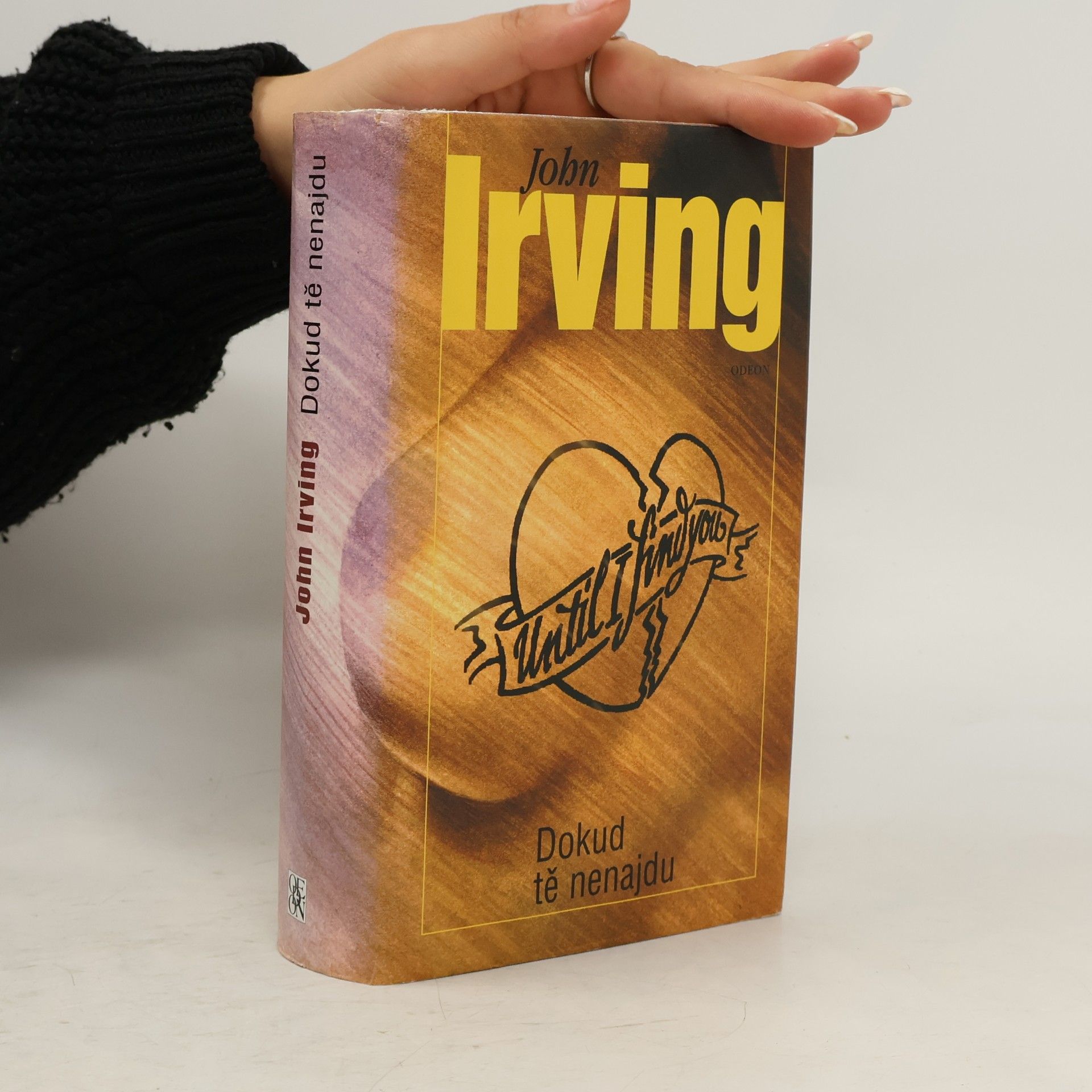 John Irving Dokud tě nenajdu