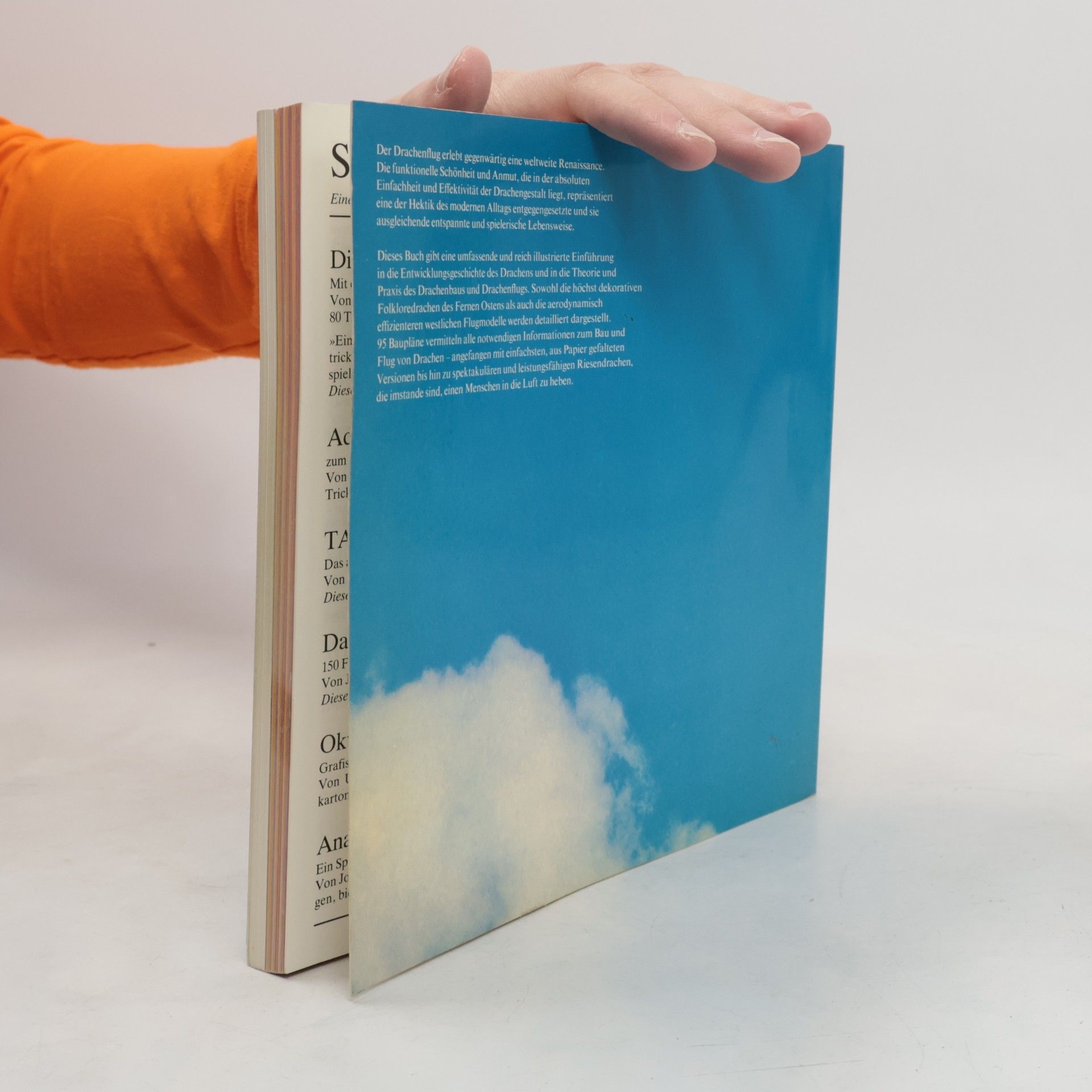 David Pelham DuMont's Bastelbuch der Drachen