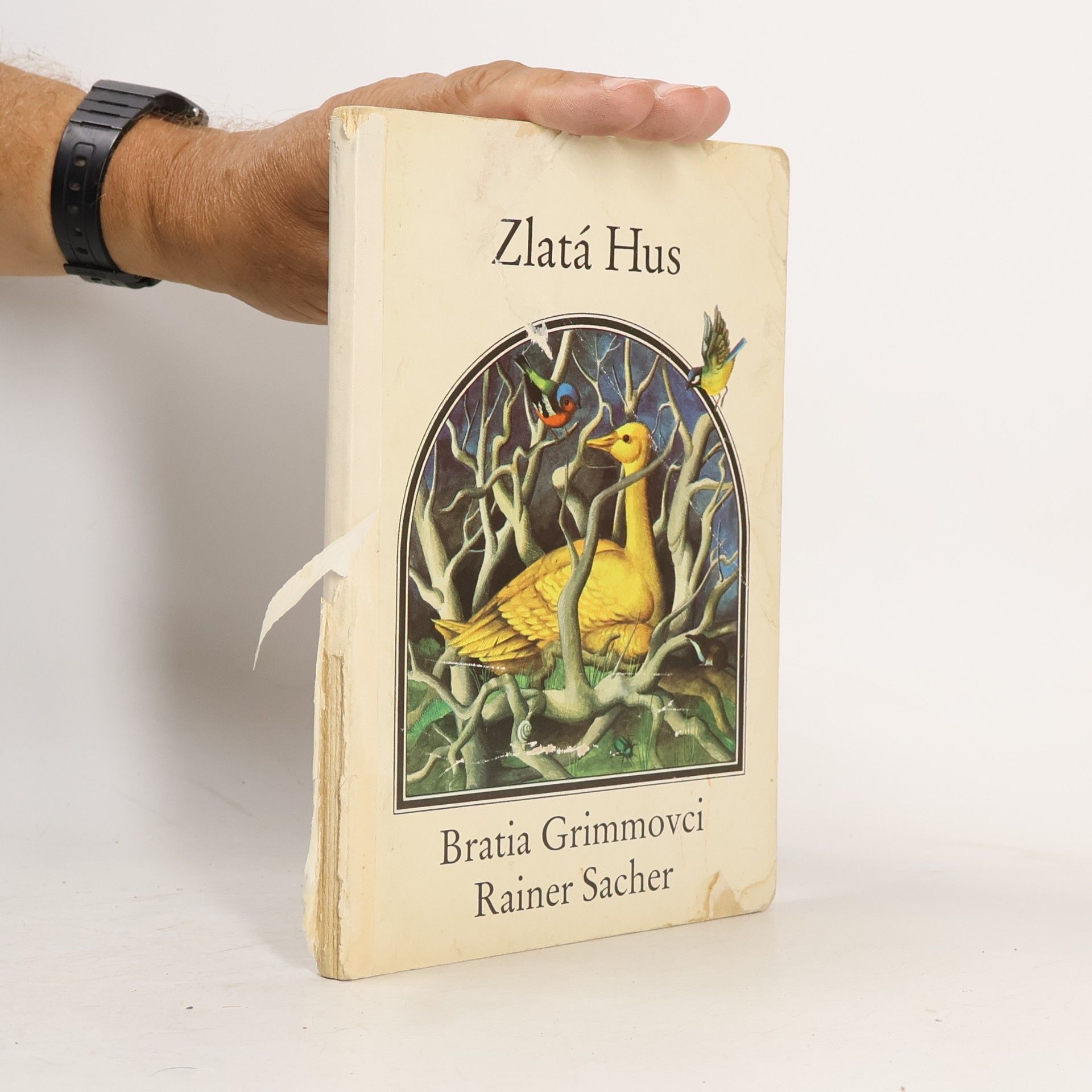 Rainer Sacher Zlatá Hus