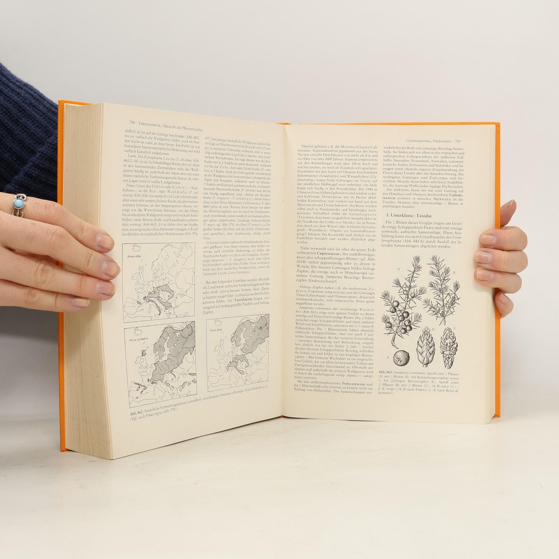 Autorenkollektiv Lehrbuch der Botanik