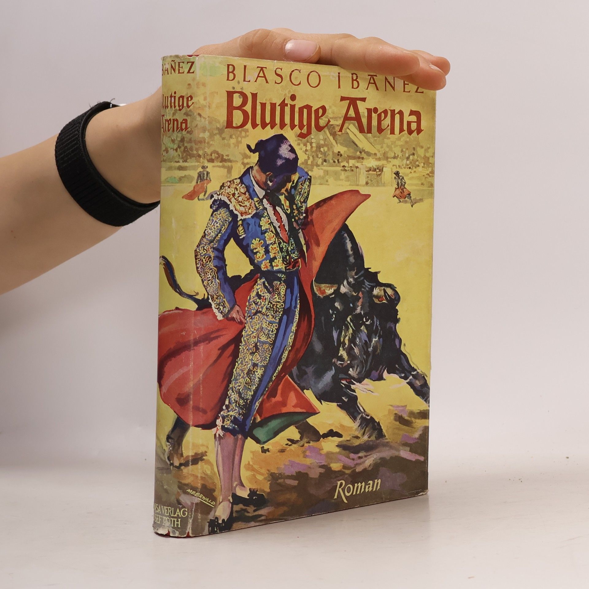 Vicente Blasco Ibáñez Blutige Arena
