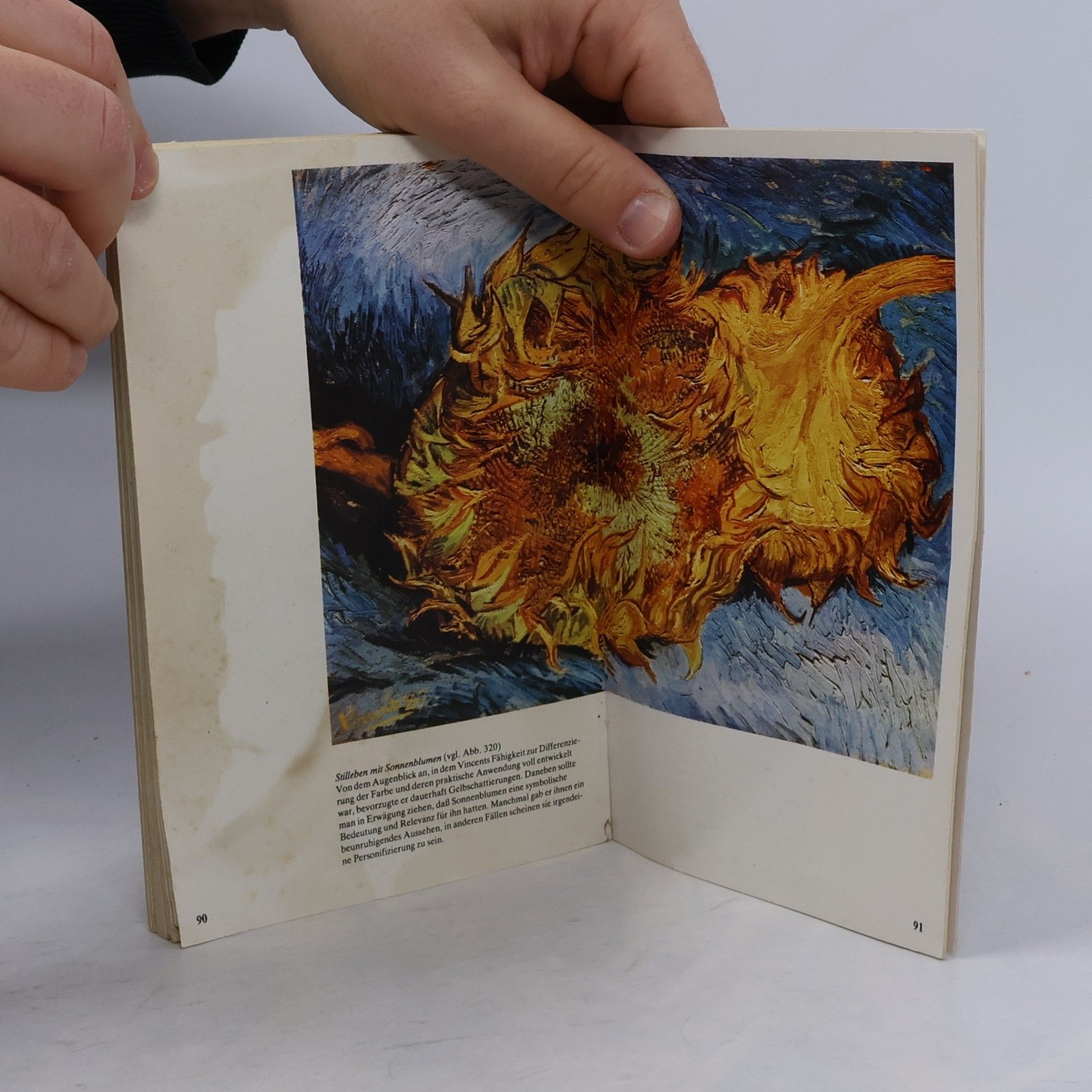 Henriette Beese Vincent van Gogh 1