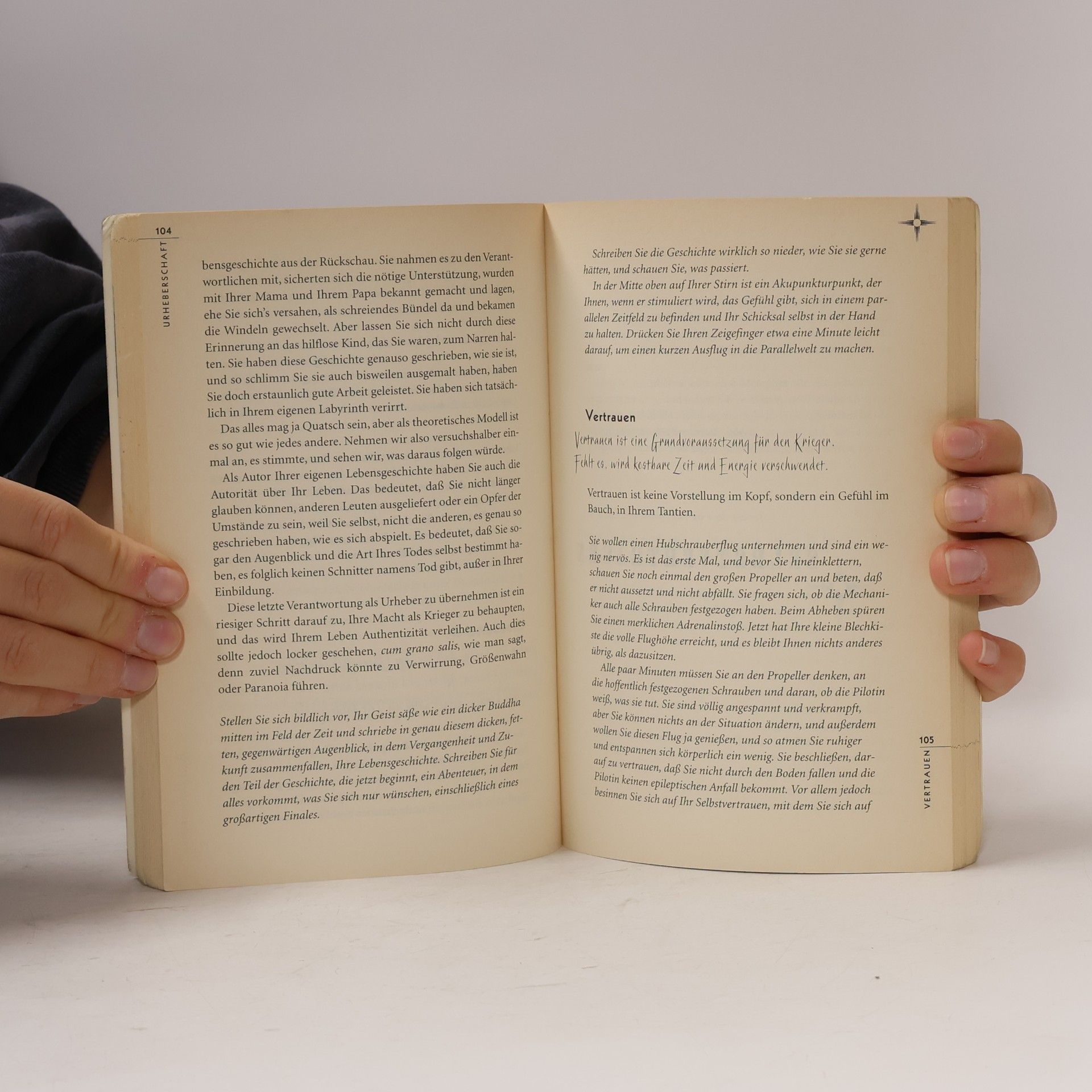 Stephen Russell Handbuch für den gewitzten Stadtkrieger