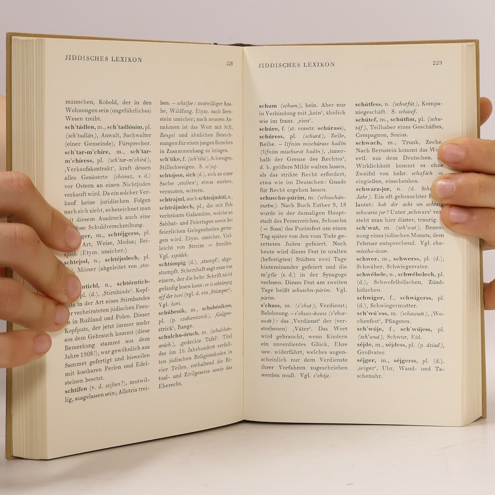 Salcia Landmann Jiddisch. Abenteuer einer Sprache