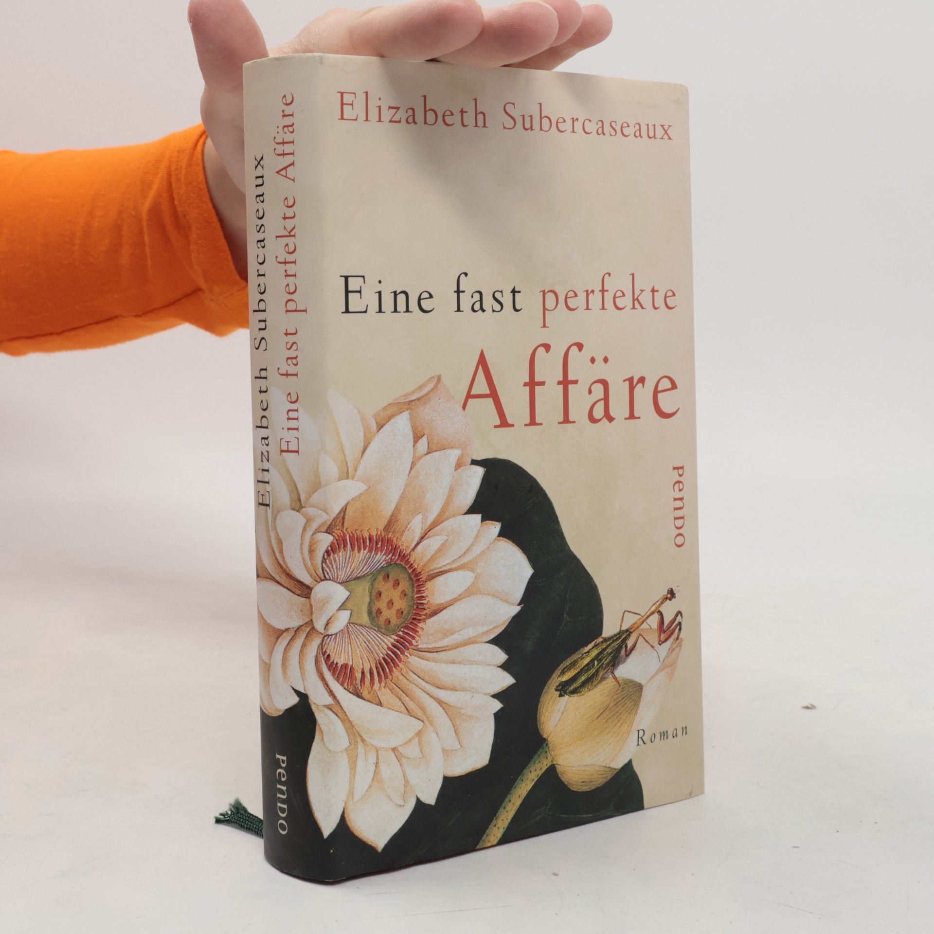 Elizabeth Subercaseaux Eine fast perfekte Affäre