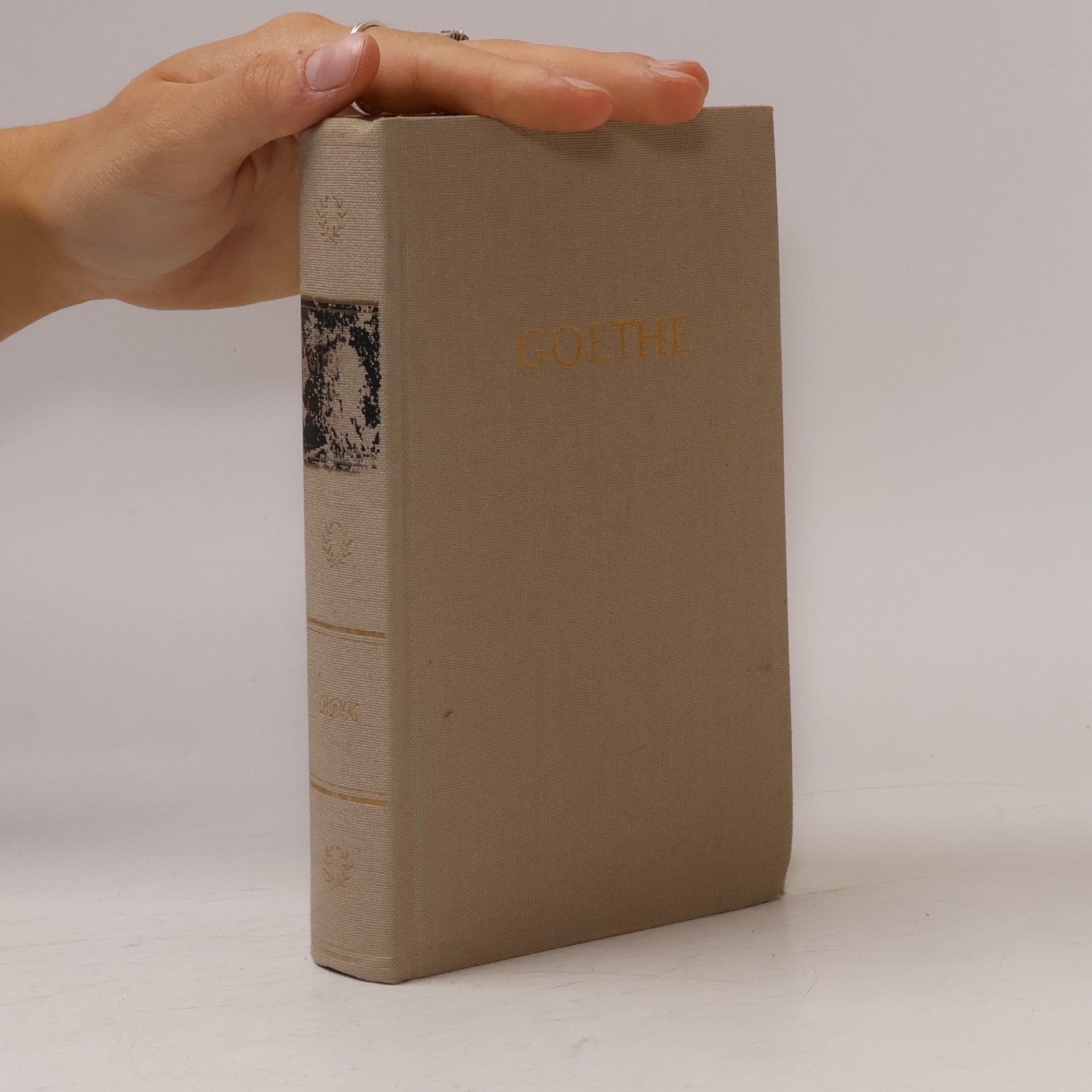 Johann Wolfgang von Goethe Goethe 10
