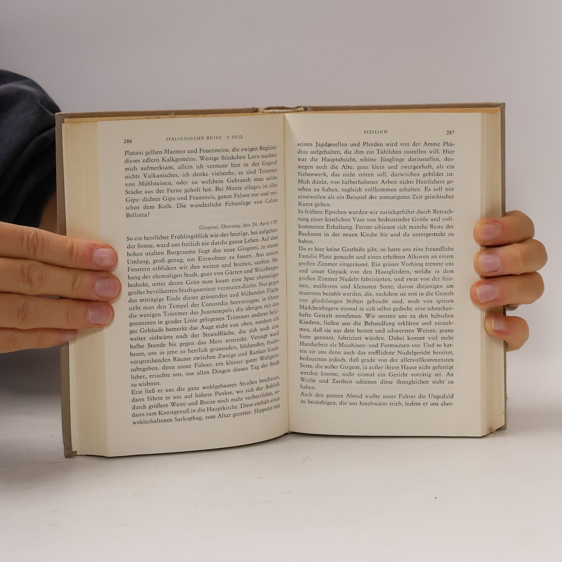 Johann Wolfgang von Goethe Goethe 10