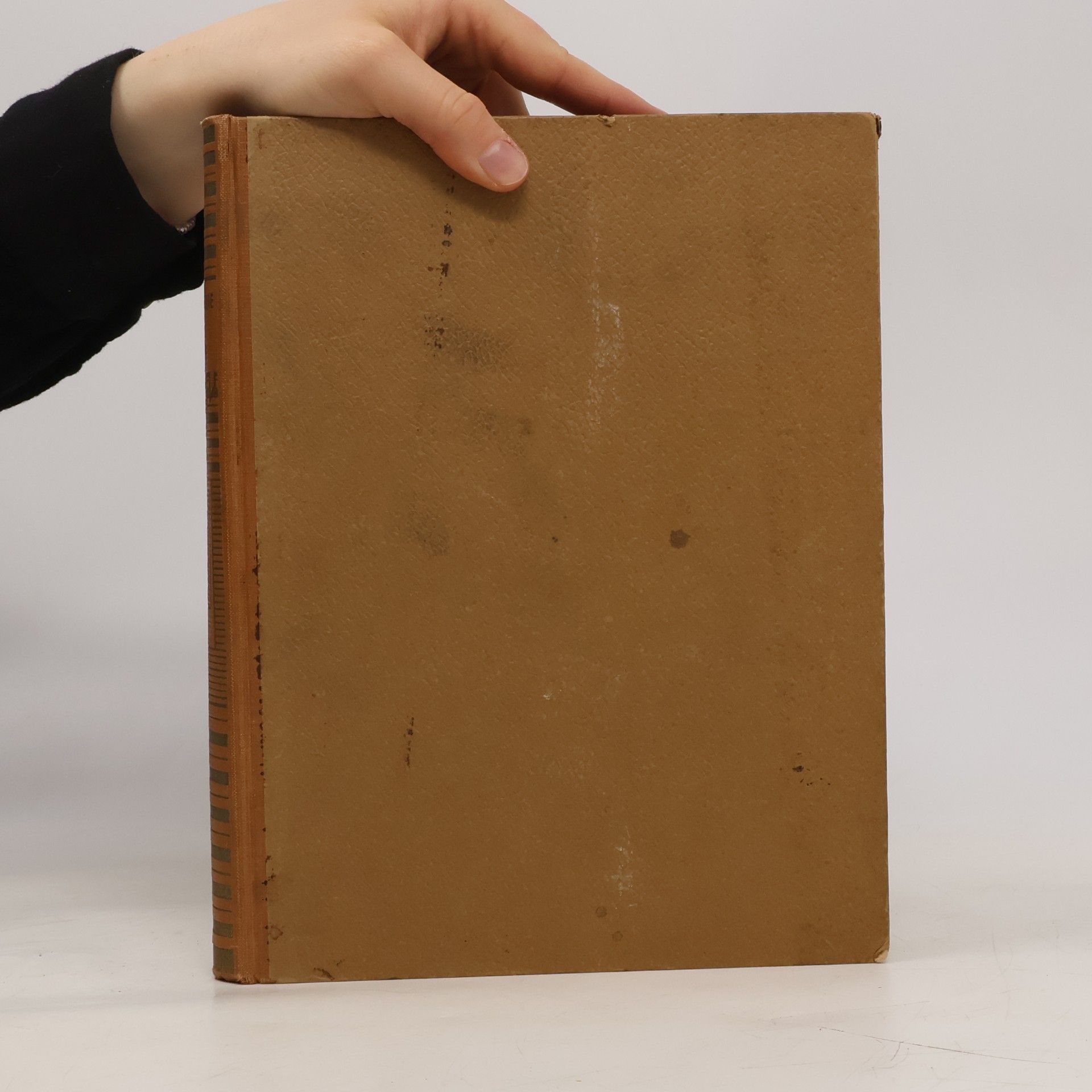 Autorenkollektiv Encyklopedie české mládeže. 5. díl