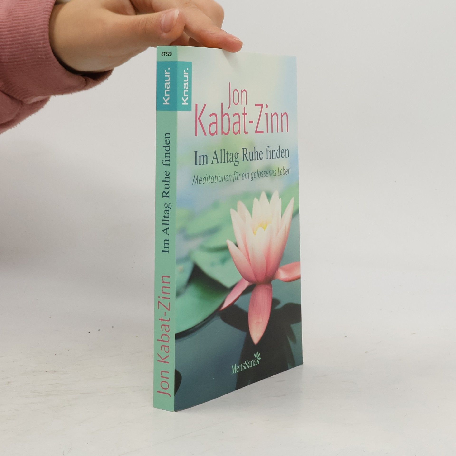 Jon Kabat-Zinn Im Alltag Ruhe finden