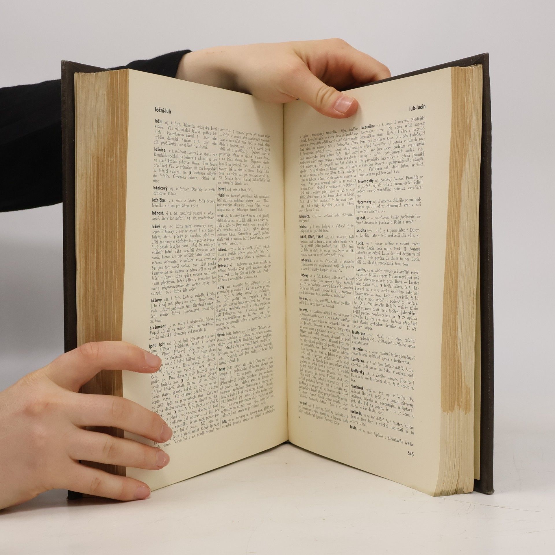 Autorenkollektiv Příruční slovník jazyka českého. Díl II. K-M