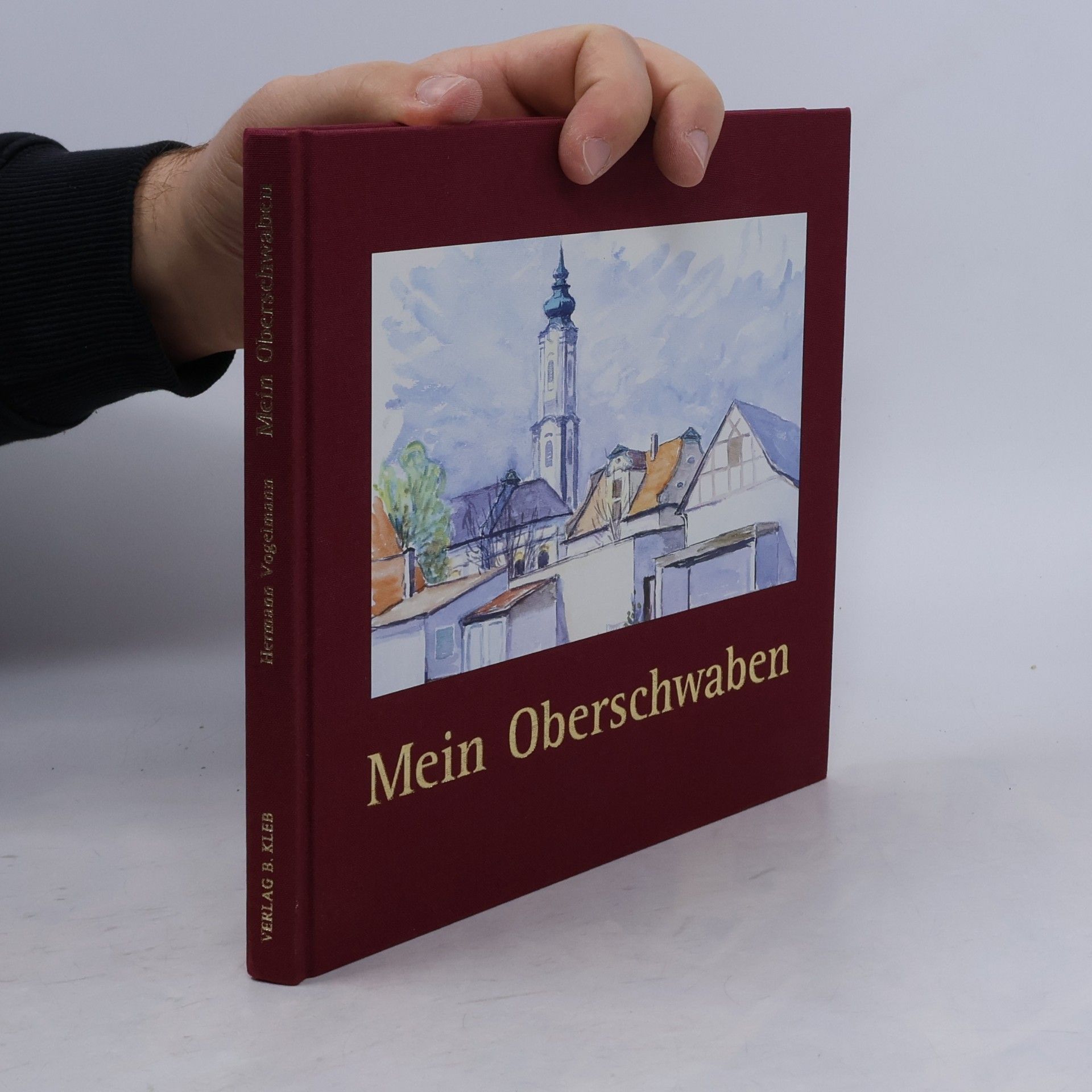 Mein Oberschwaben