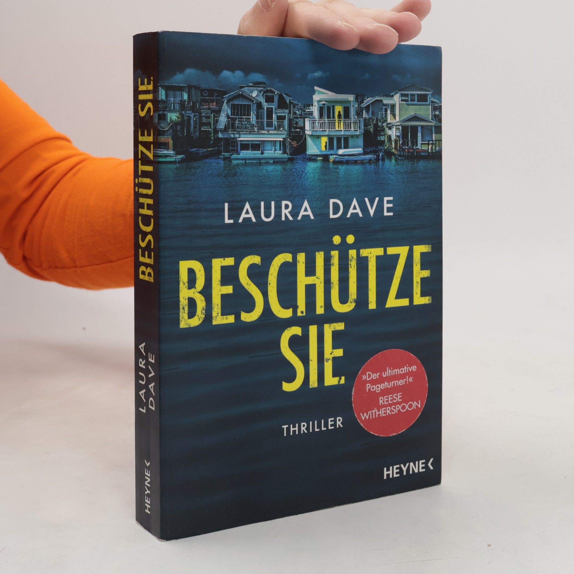 Laura Dave Beschütze sie