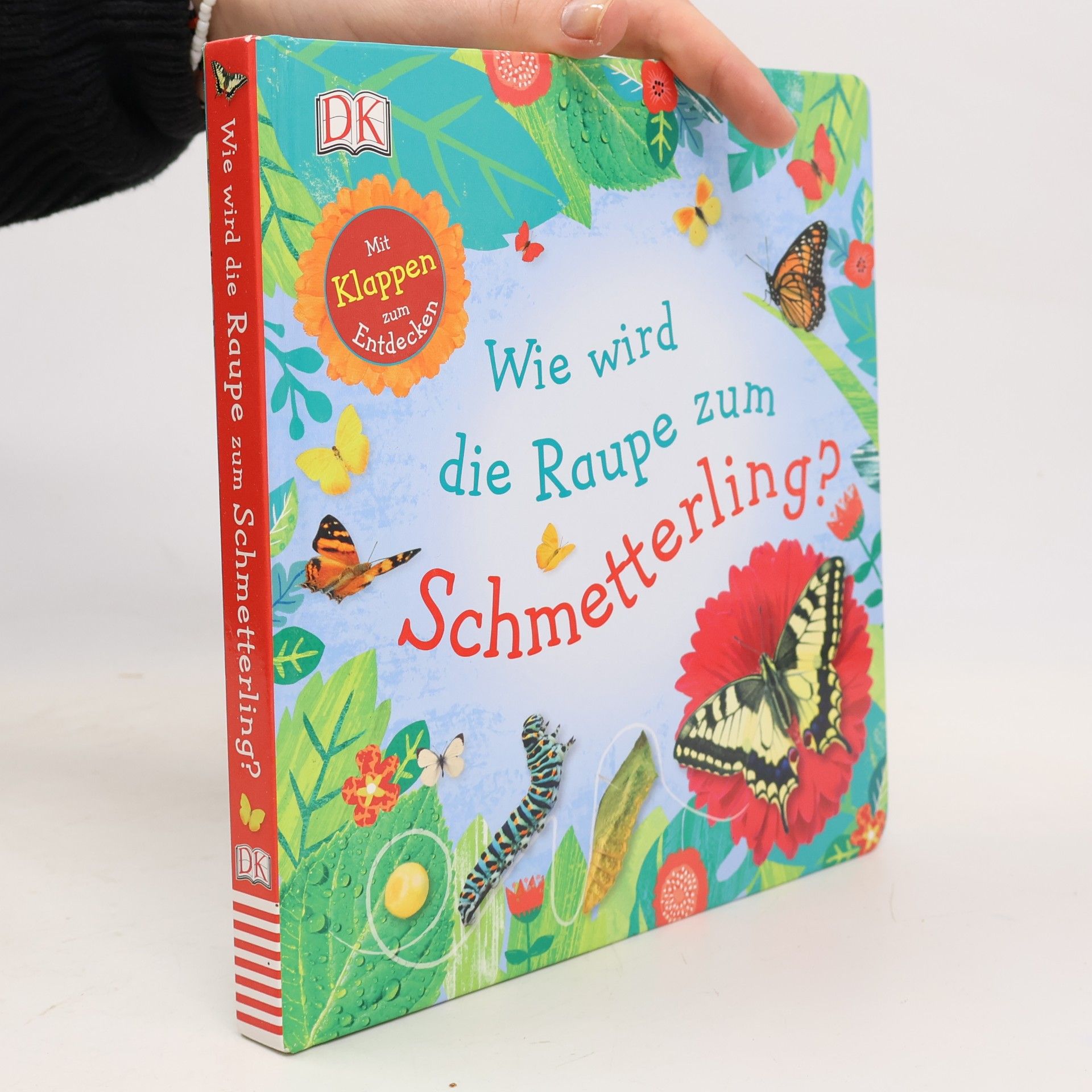 Polly Appleton Wie wird die Raupe zum Schmetterling?