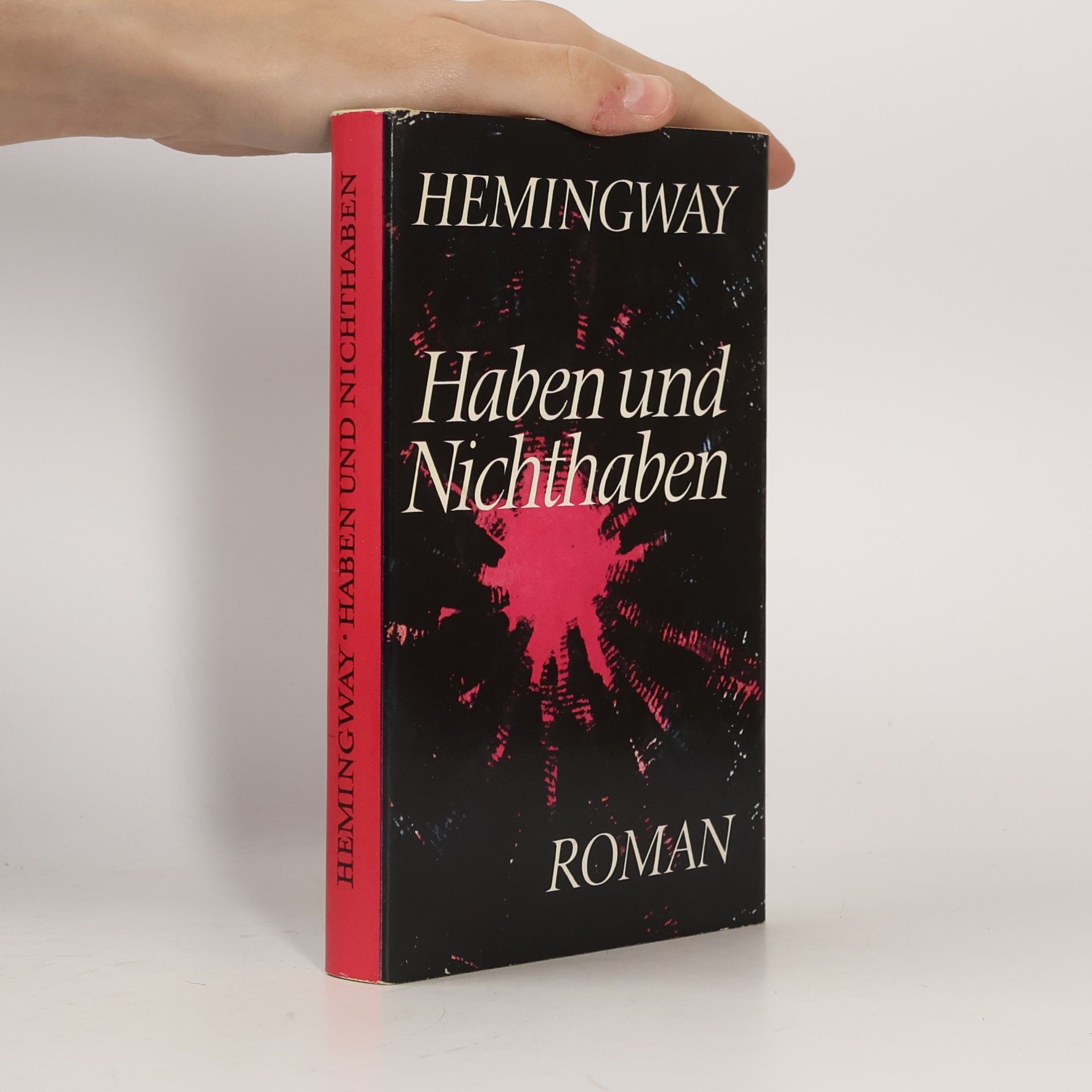 Ernest Hemingway Haben und Nichthaben