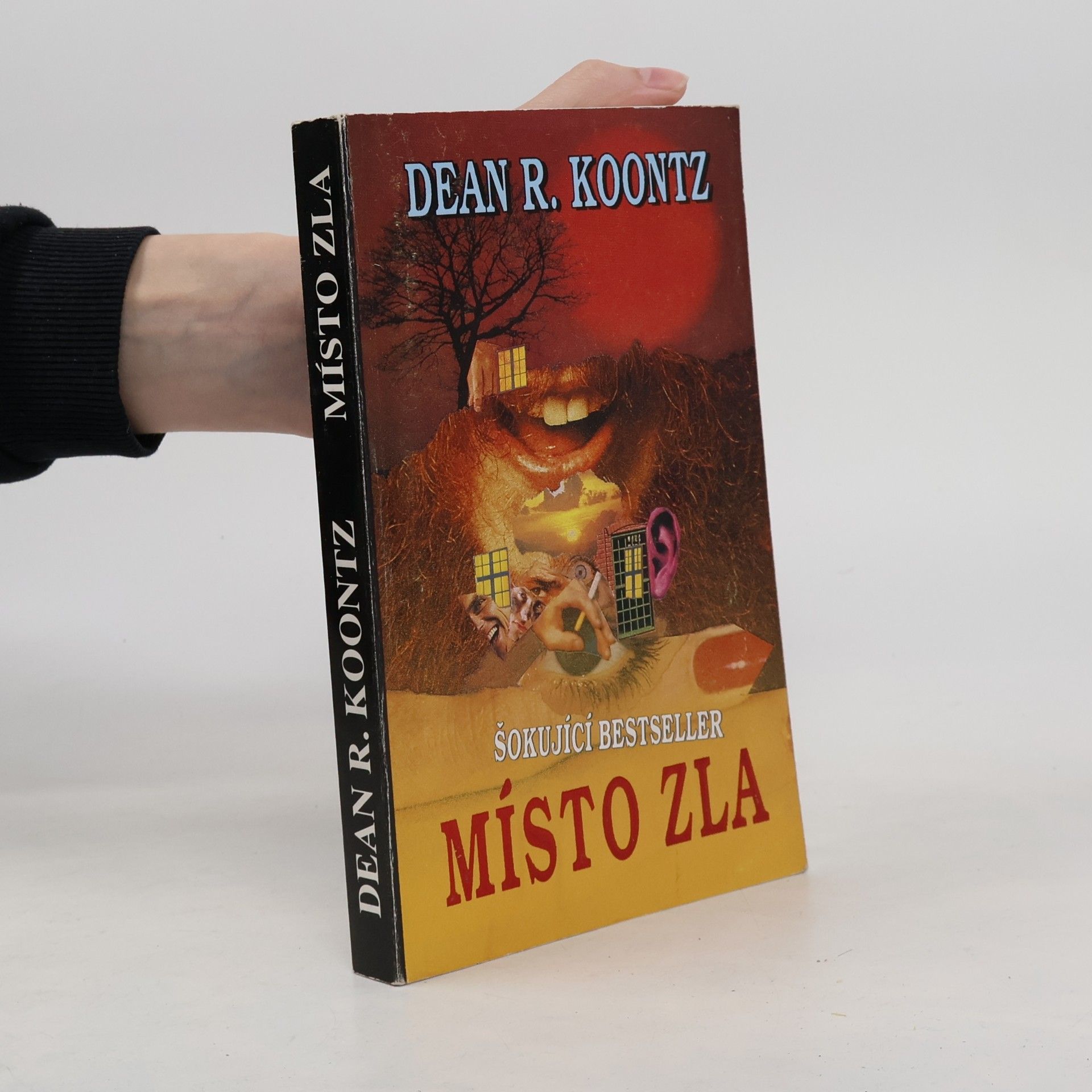 Dean Ray Koontz Místo zla