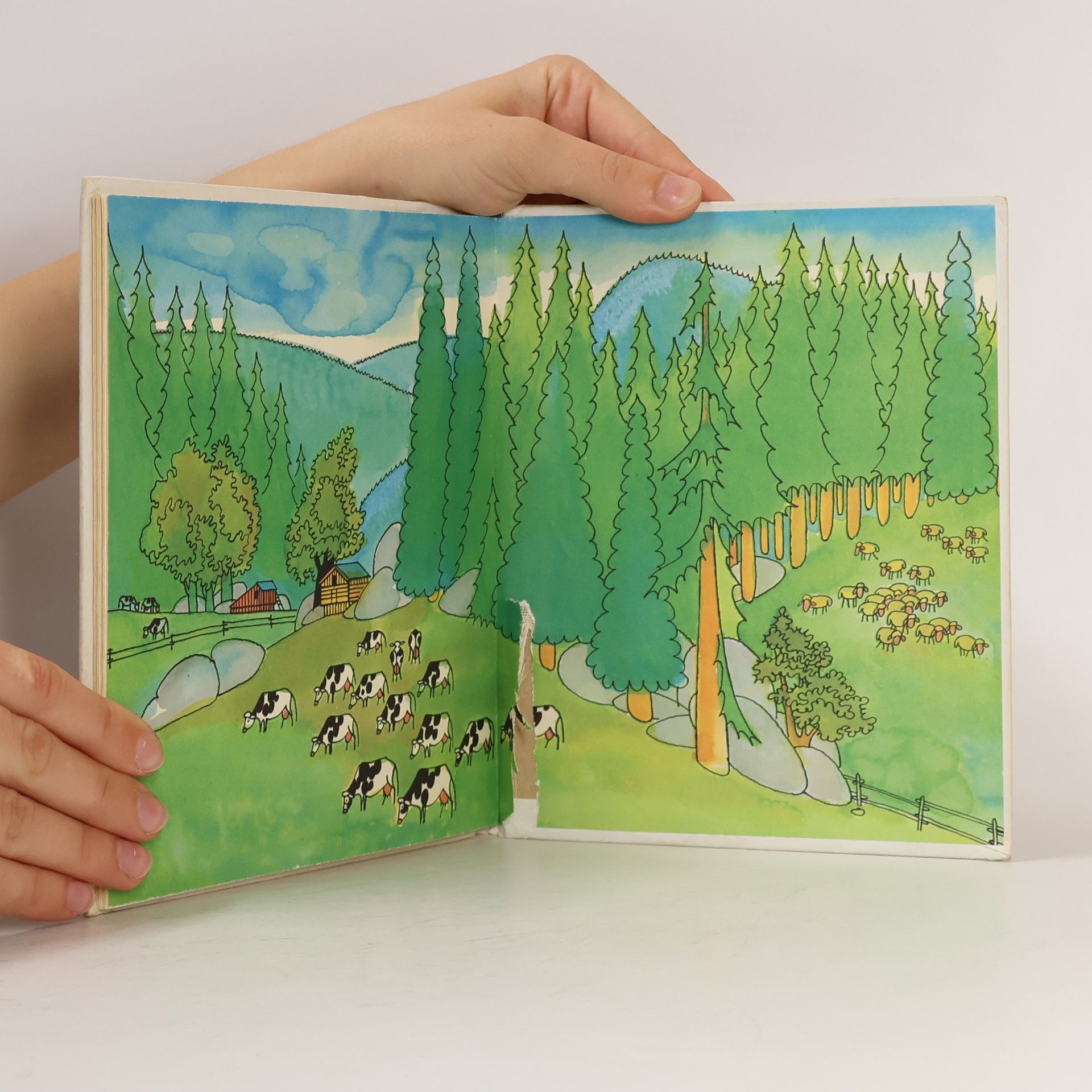 Astrid Lindgren Emil Neplecha