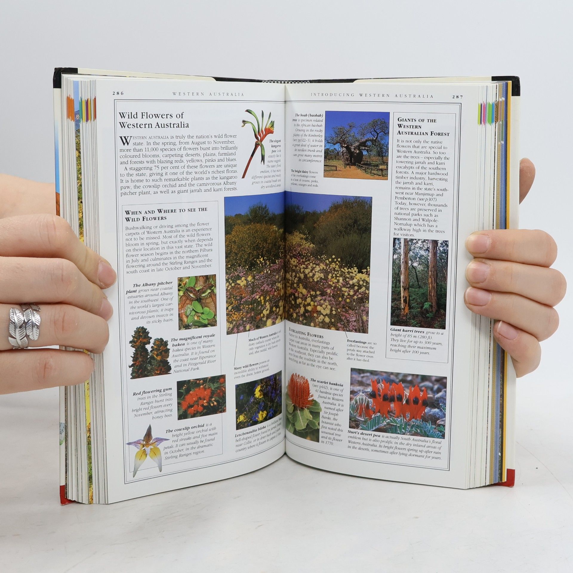 Various authors Australia
