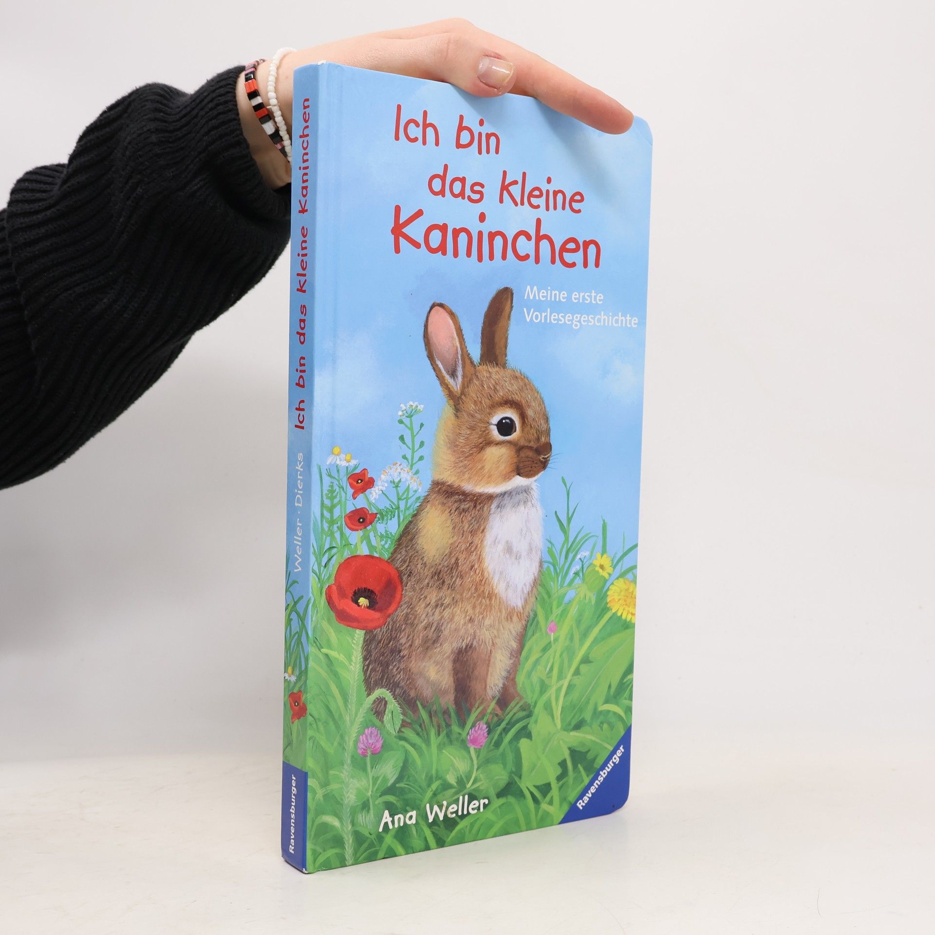 Ana Weller Ich bin das kleine Kaninchen