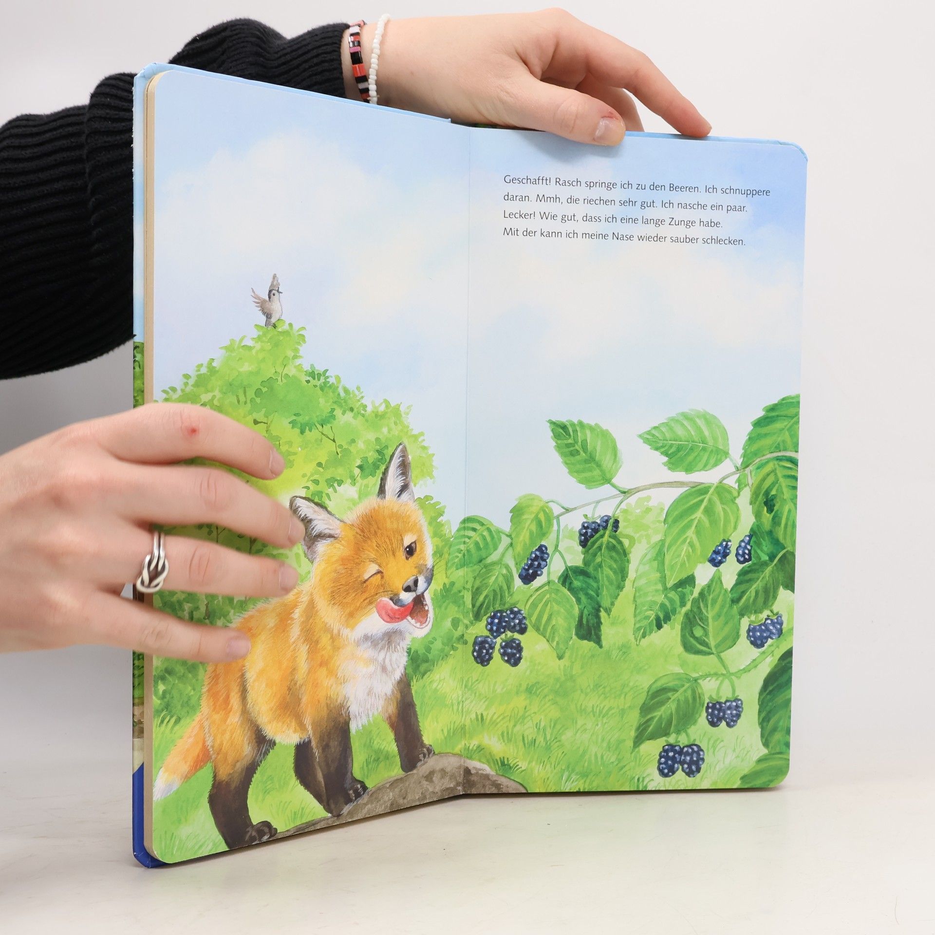 Ana Weller Ich bin der kleine Fuchs