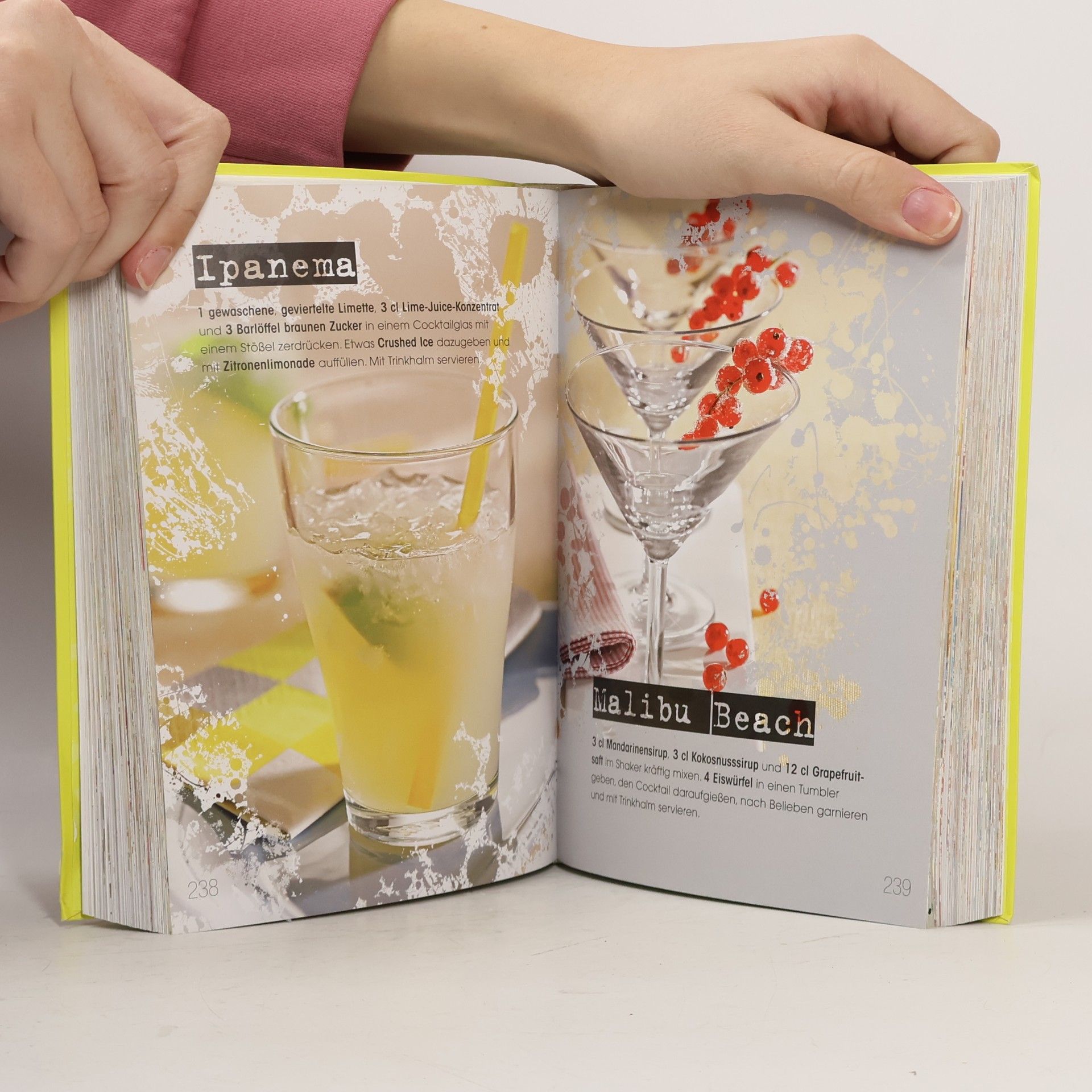 Sylvia Winnewisser Das große Handbuch der Cocktails und Mixdrinks