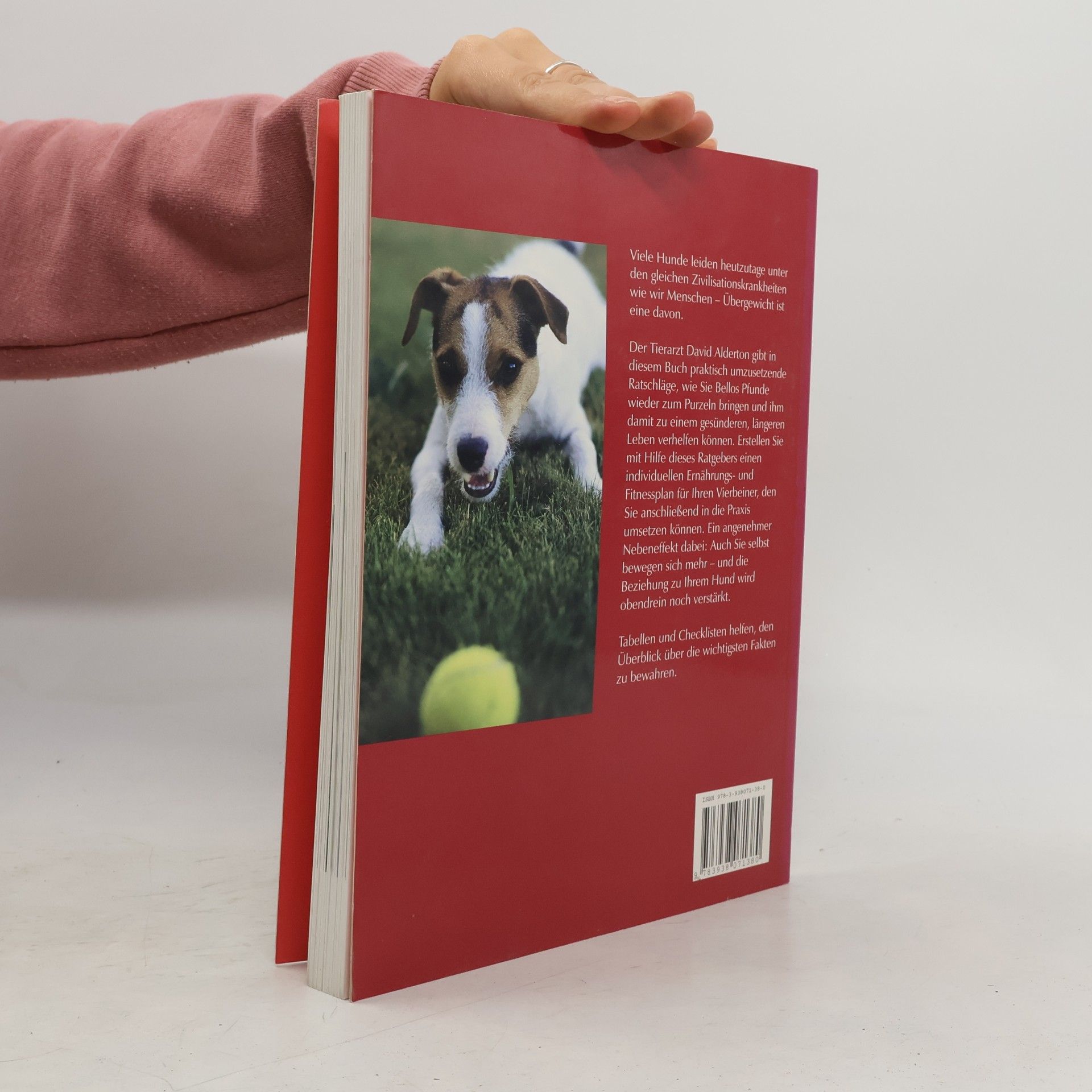 David Alderton Dicker Hund - was tun?