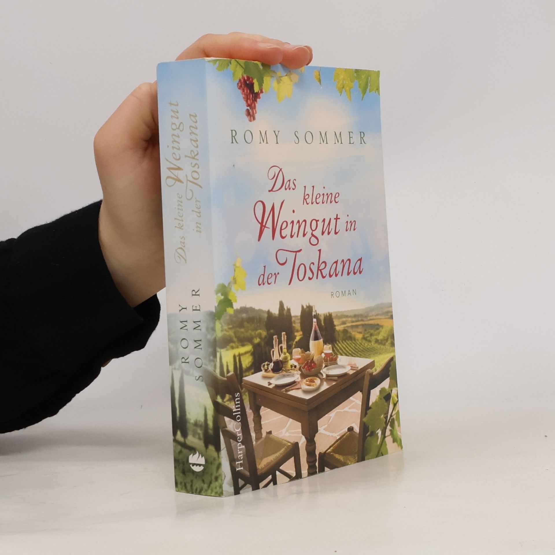 Romy Sommer Das kleine Weingut in der Toskana