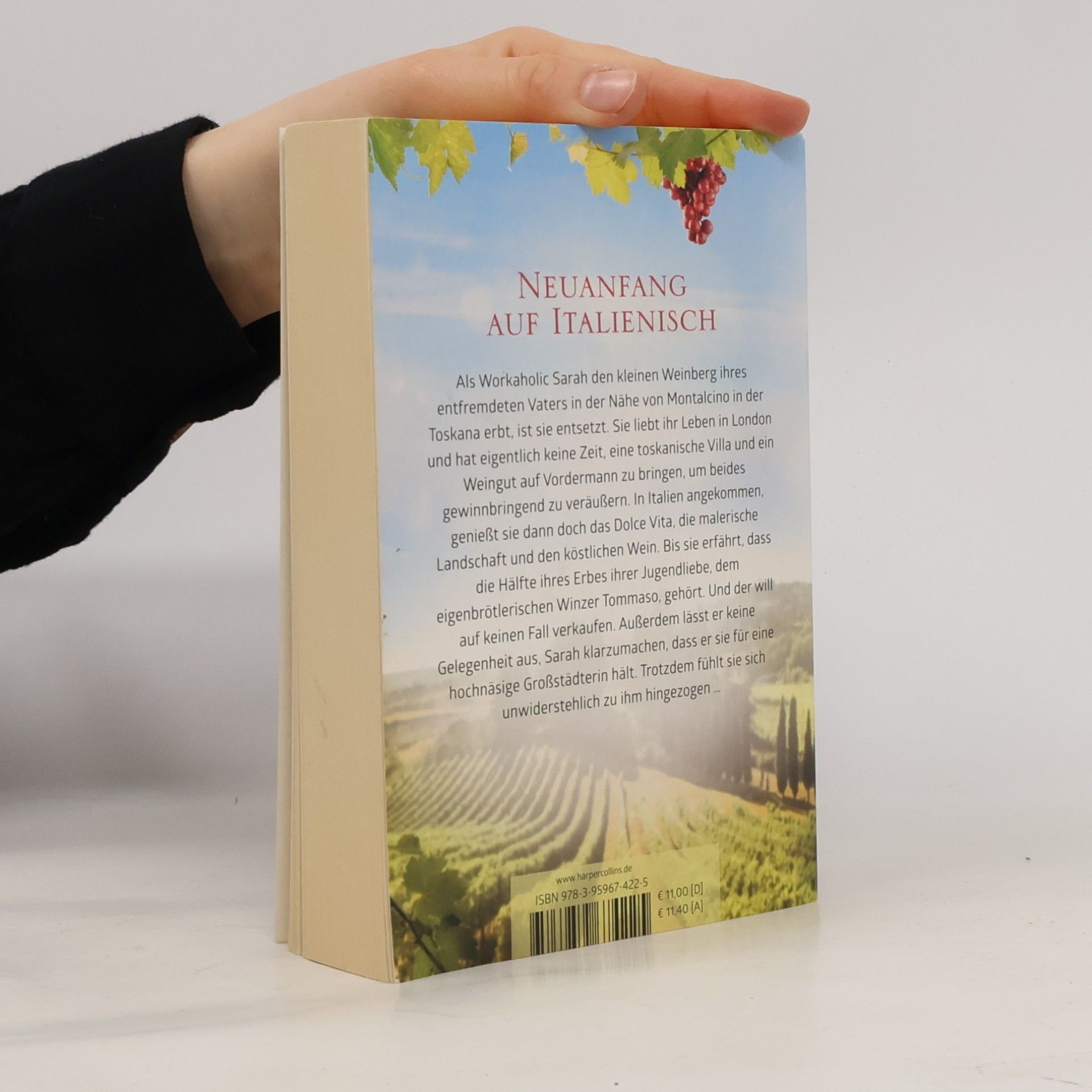 Romy Sommer Das kleine Weingut in der Toskana
