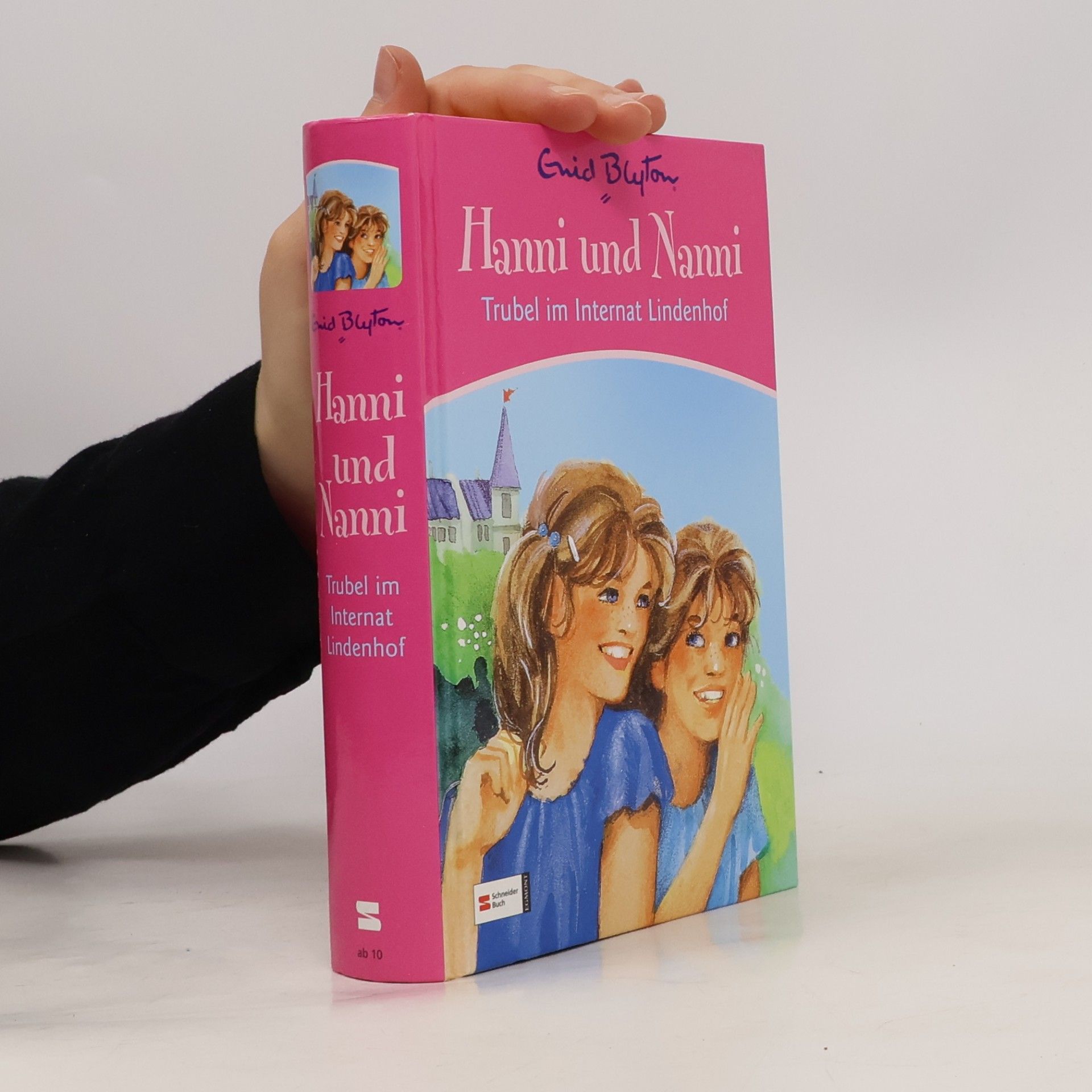 Enid Blyton Hanni und Nanni. Trubel im Internat Lindenhof