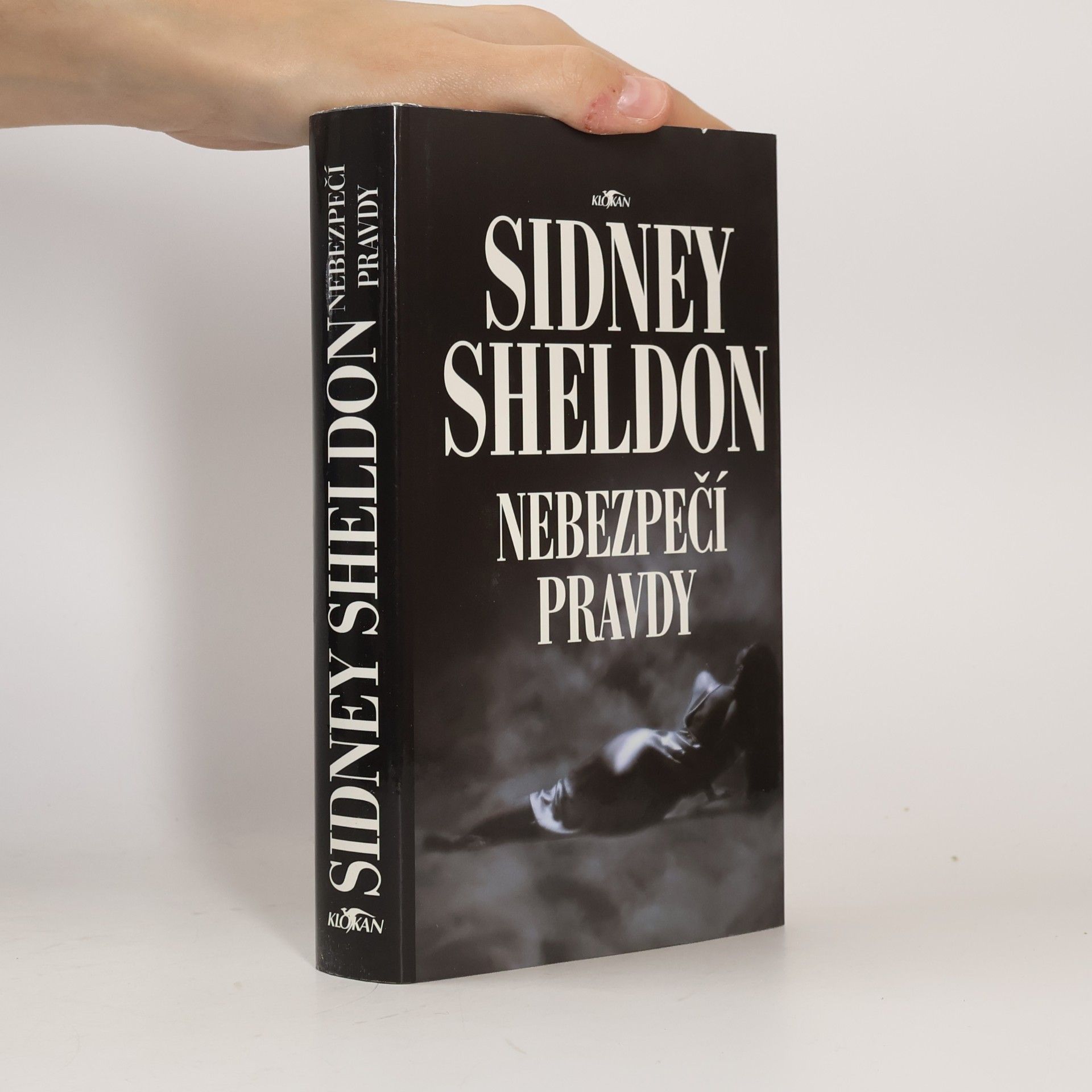 Sidney Sheldon Nebezpečí pravdy
